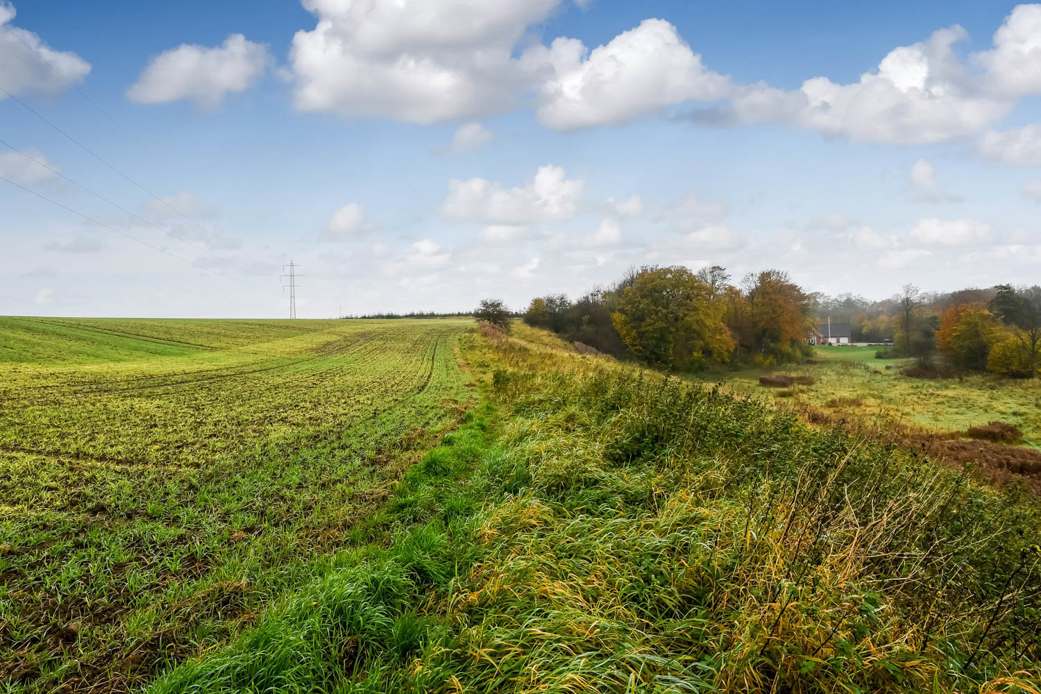 Fremhævet  billede i fuldskærmstilstand. Billede af Lindeborgvej 18, 7560 Hjerm