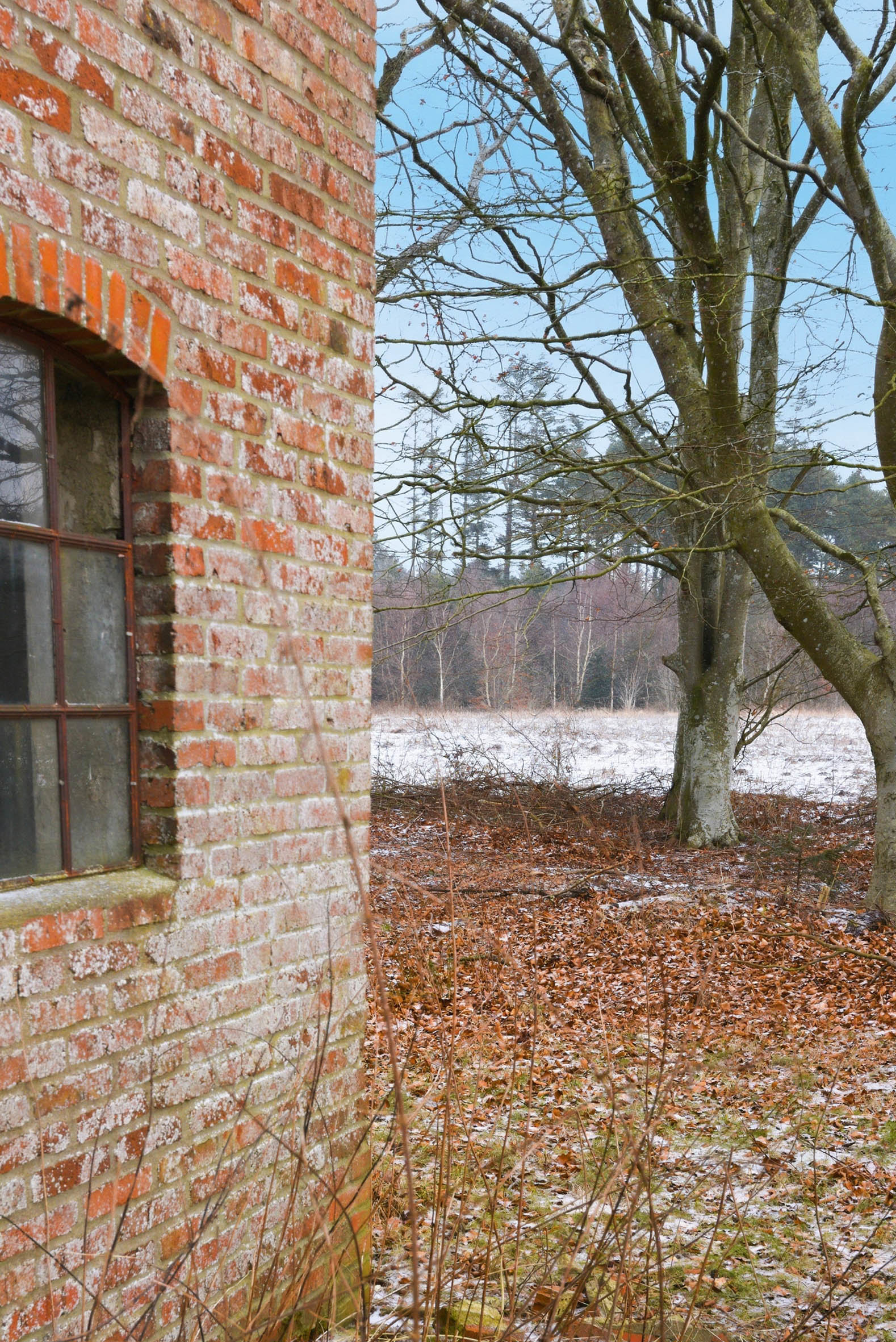 Fremhævet udenomsarealer billede i fuldskærmstilstand. Billede af Skorkærvej 2, Staby, 6990 Ulfborg