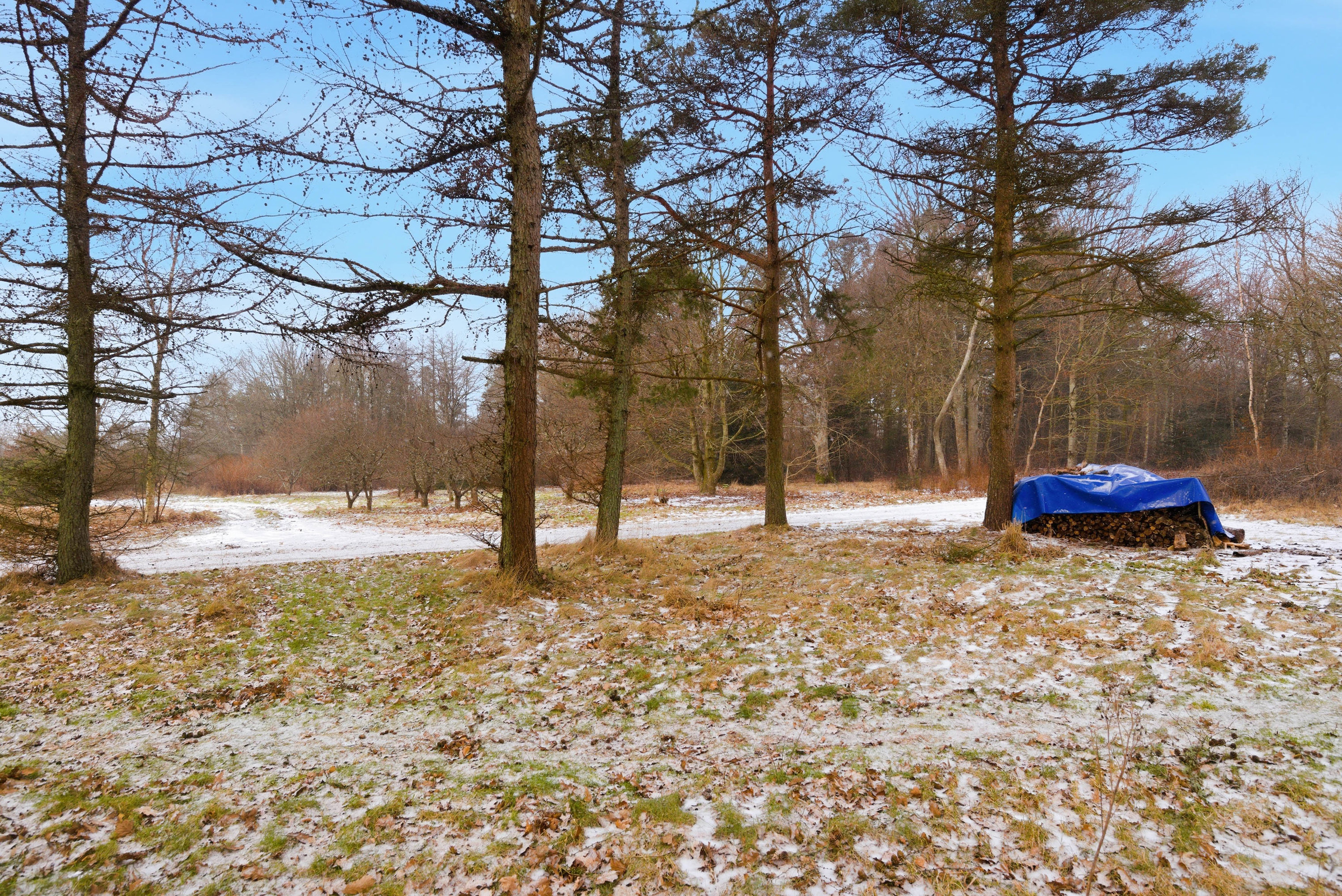 Fremhævet udenomsarealer billede i fuldskærmstilstand. Billede af Skorkærvej 2, Staby, 6990 Ulfborg