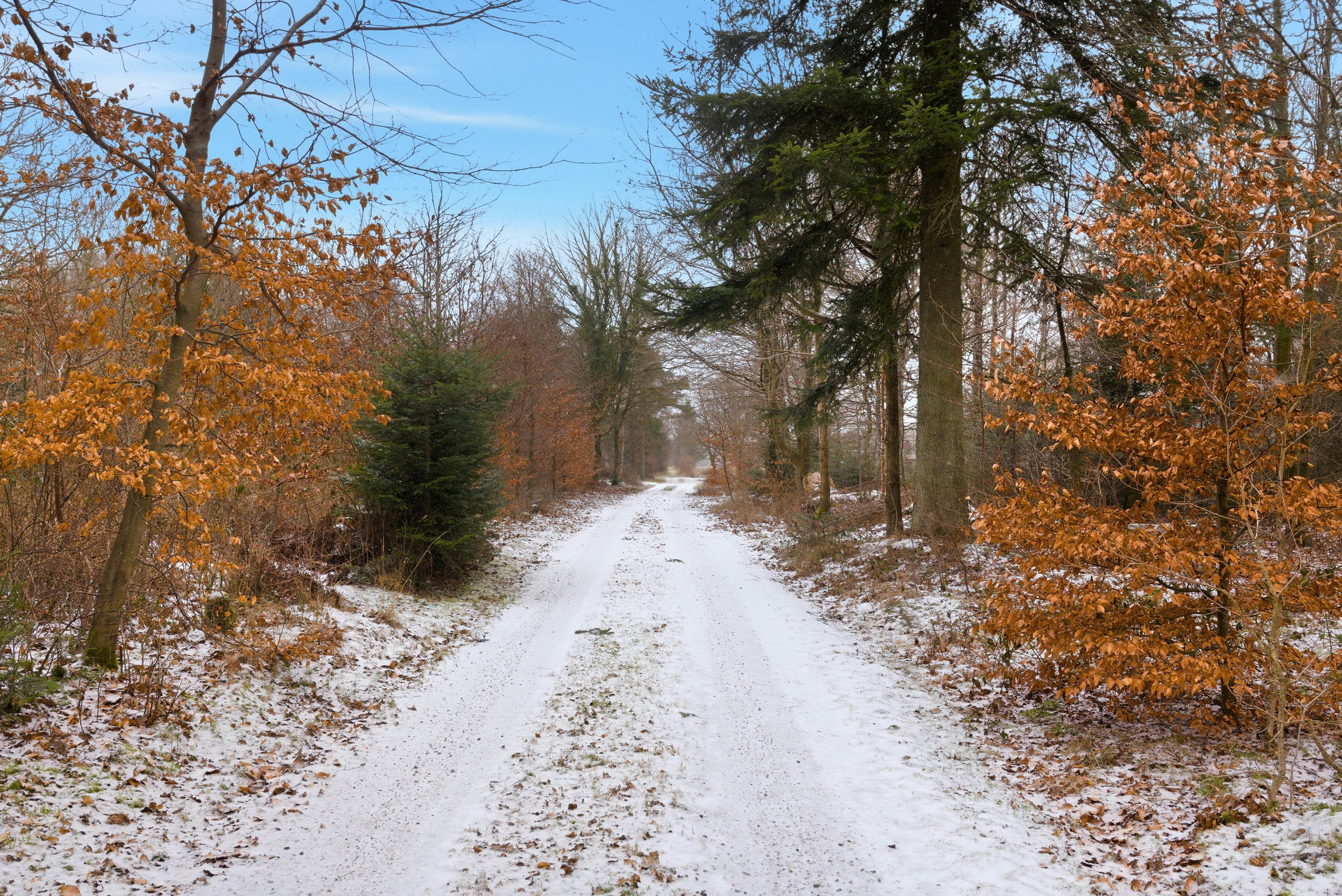 Fremhævet udenomsarealer billede i fuldskærmstilstand. Billede af Skorkærvej 2, Staby, 6990 Ulfborg