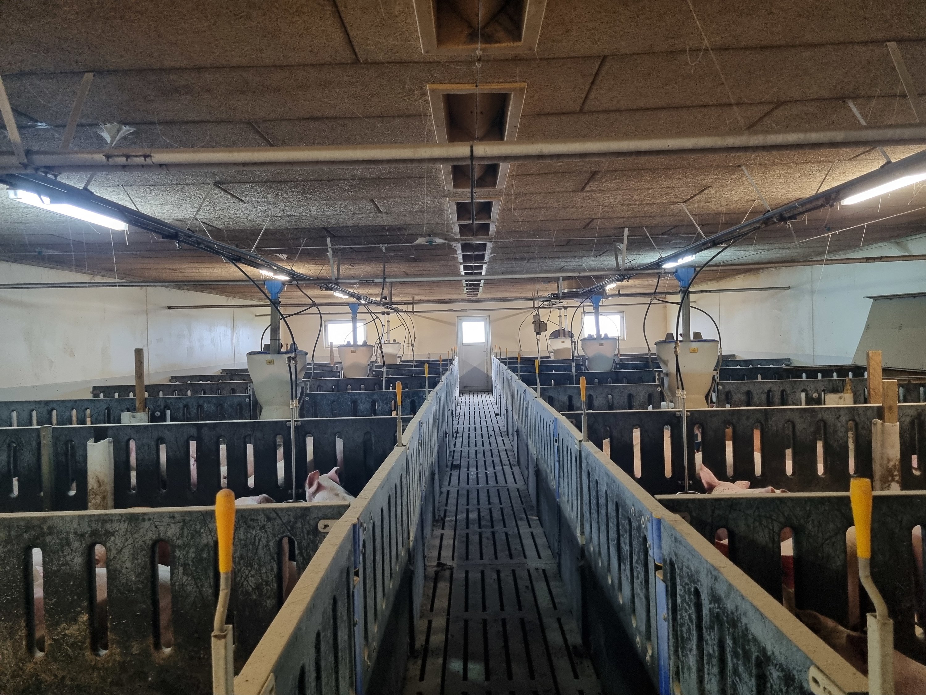 Fremhævet  billede i fuldskærmstilstand. Billede af Vinderslevholmvej 44, Vinderslev, 8620 Kjellerup