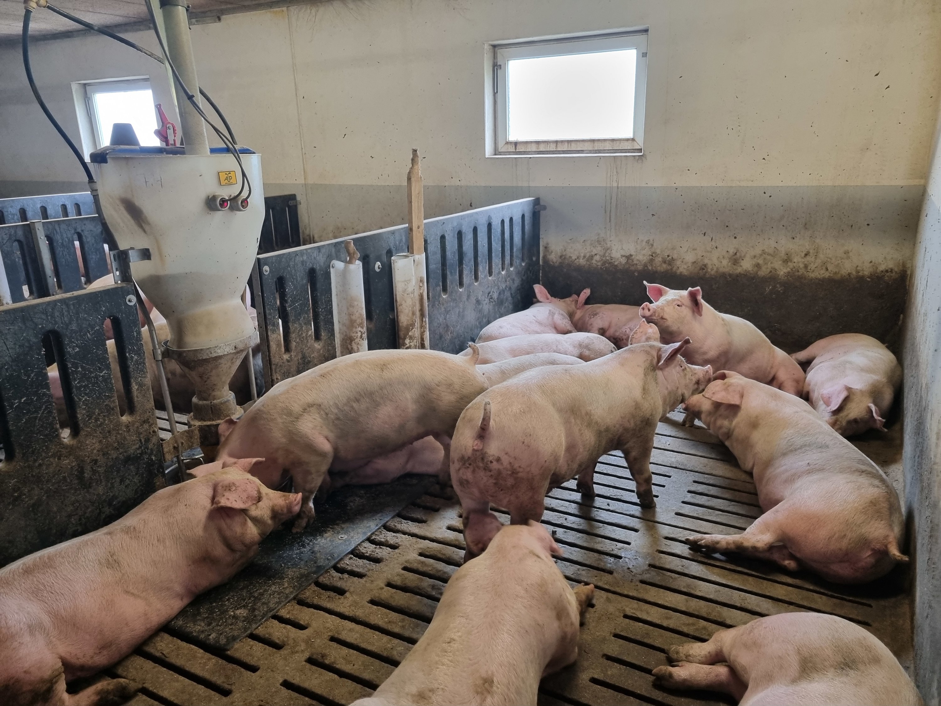 Fremhævet  billede i fuldskærmstilstand. Billede af Vinderslevholmvej 44, Vinderslev, 8620 Kjellerup