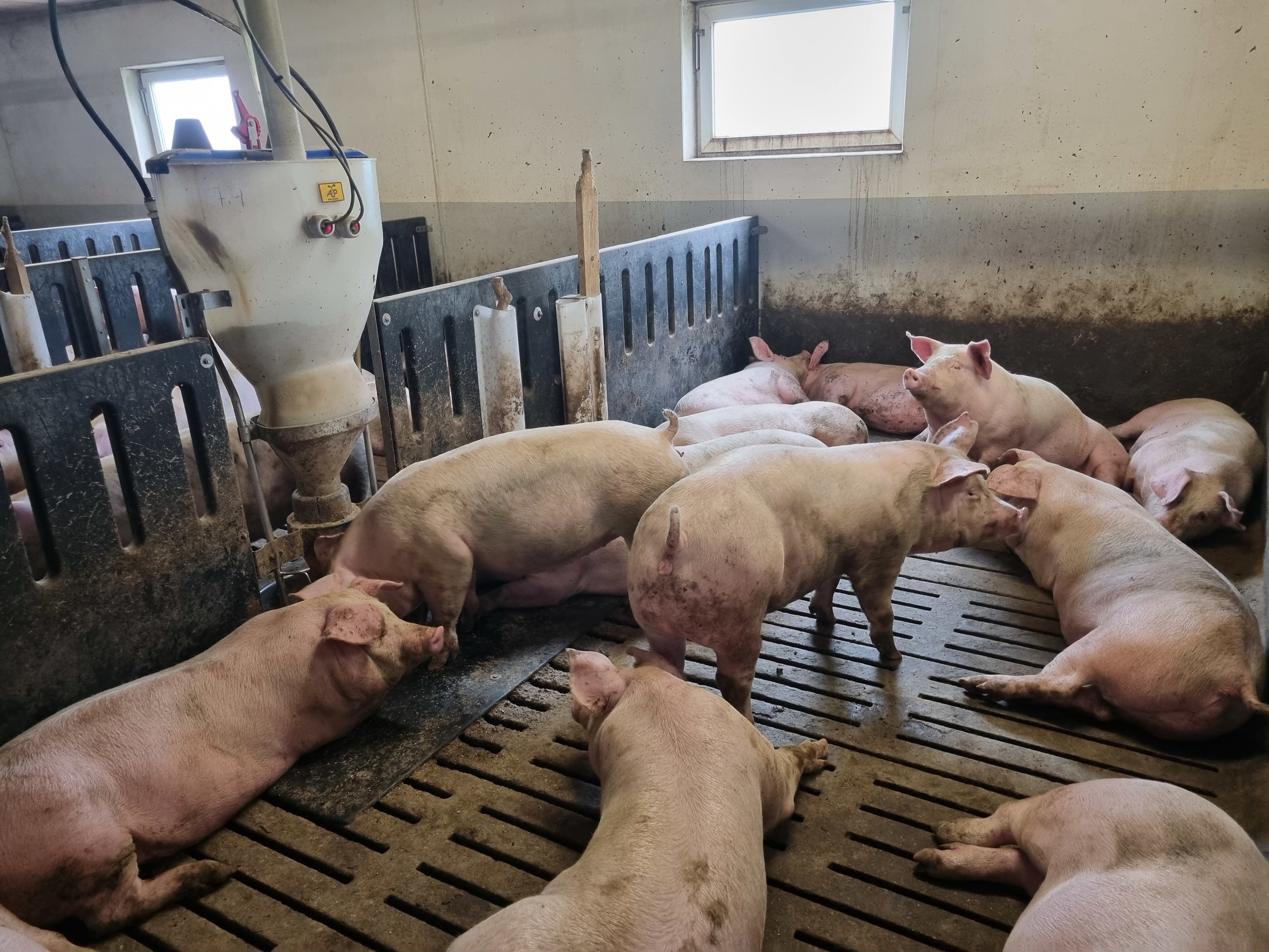 Miniaturebillede 2: . Billede af Vinderslevholmvej 44, Vinderslev, 8620 Kjellerup