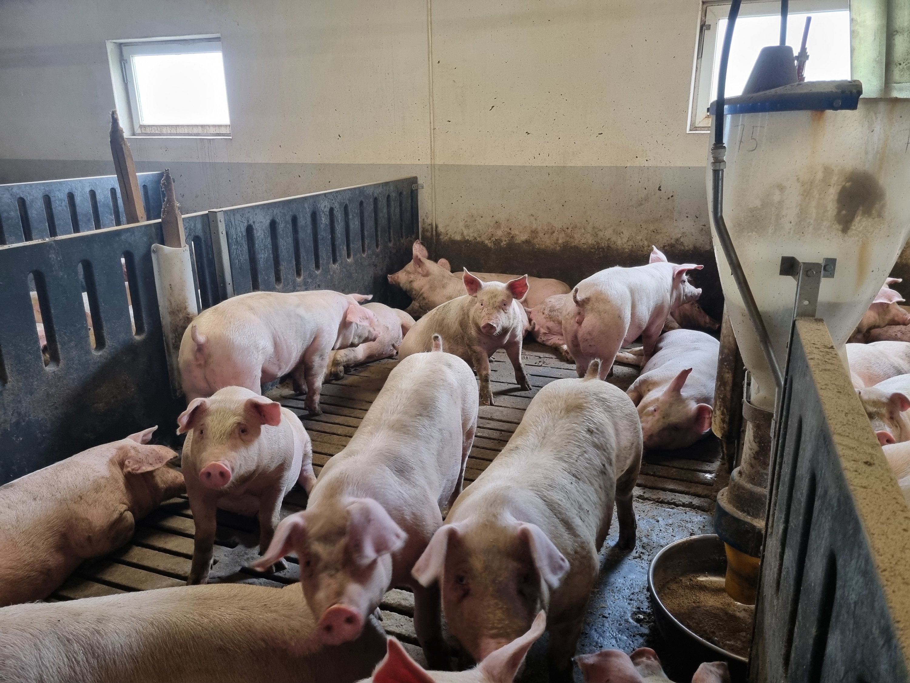 Fremhævet  billede i fuldskærmstilstand. Billede af Vinderslevholmvej 44, Vinderslev, 8620 Kjellerup