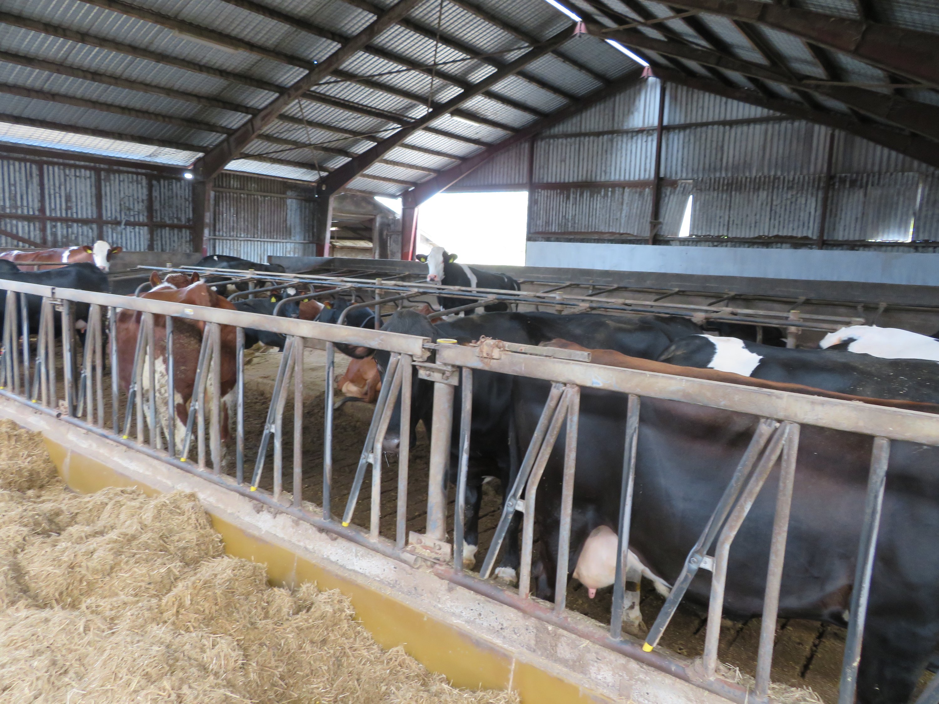 Fremhævet  billede i fuldskærmstilstand. Billede af Fjelstedvej 29, Svenstrup, 9550 Mariager