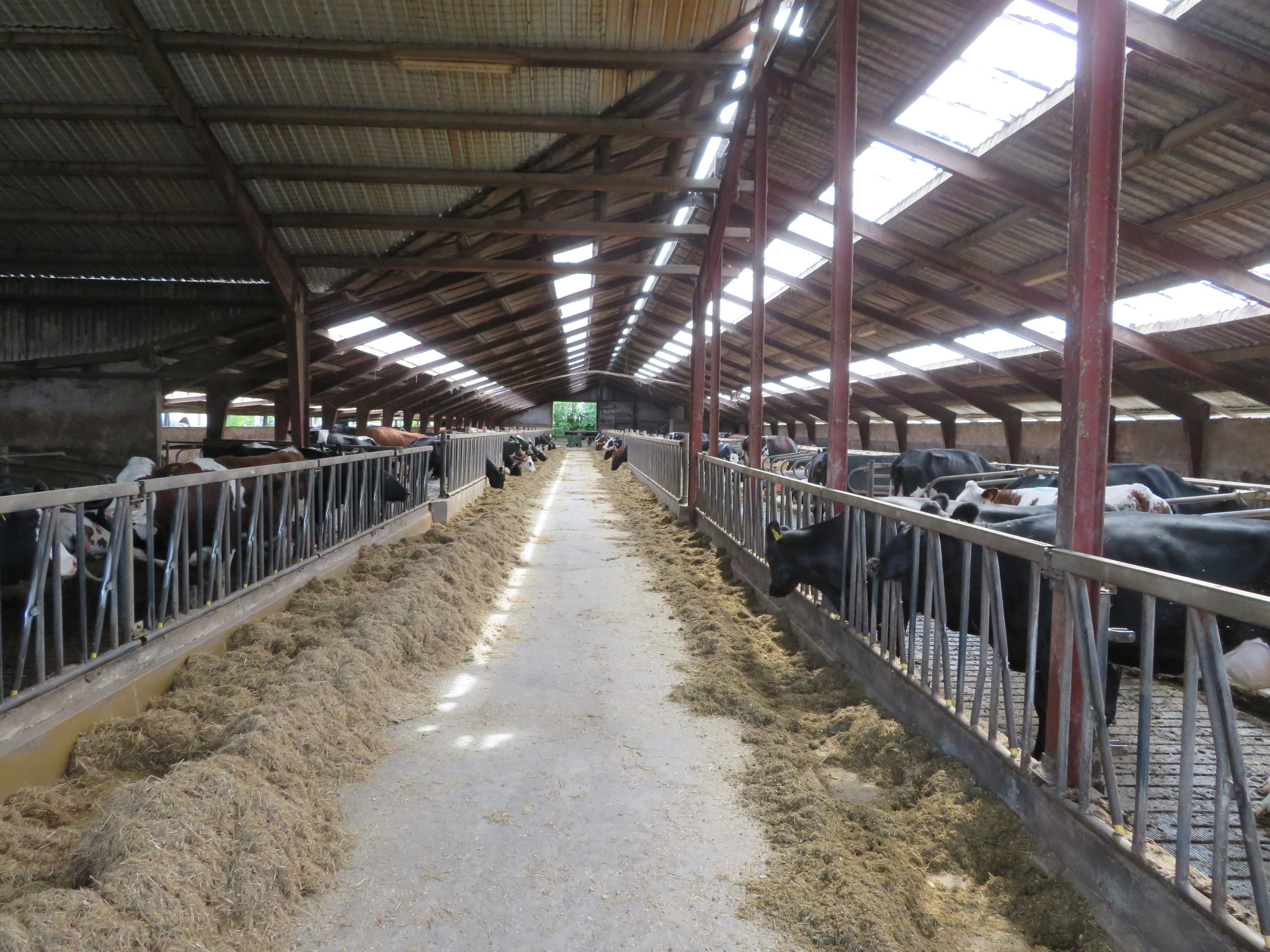 Fremhævet  billede i fuldskærmstilstand. Billede af Fjelstedvej 29, Svenstrup, 9550 Mariager