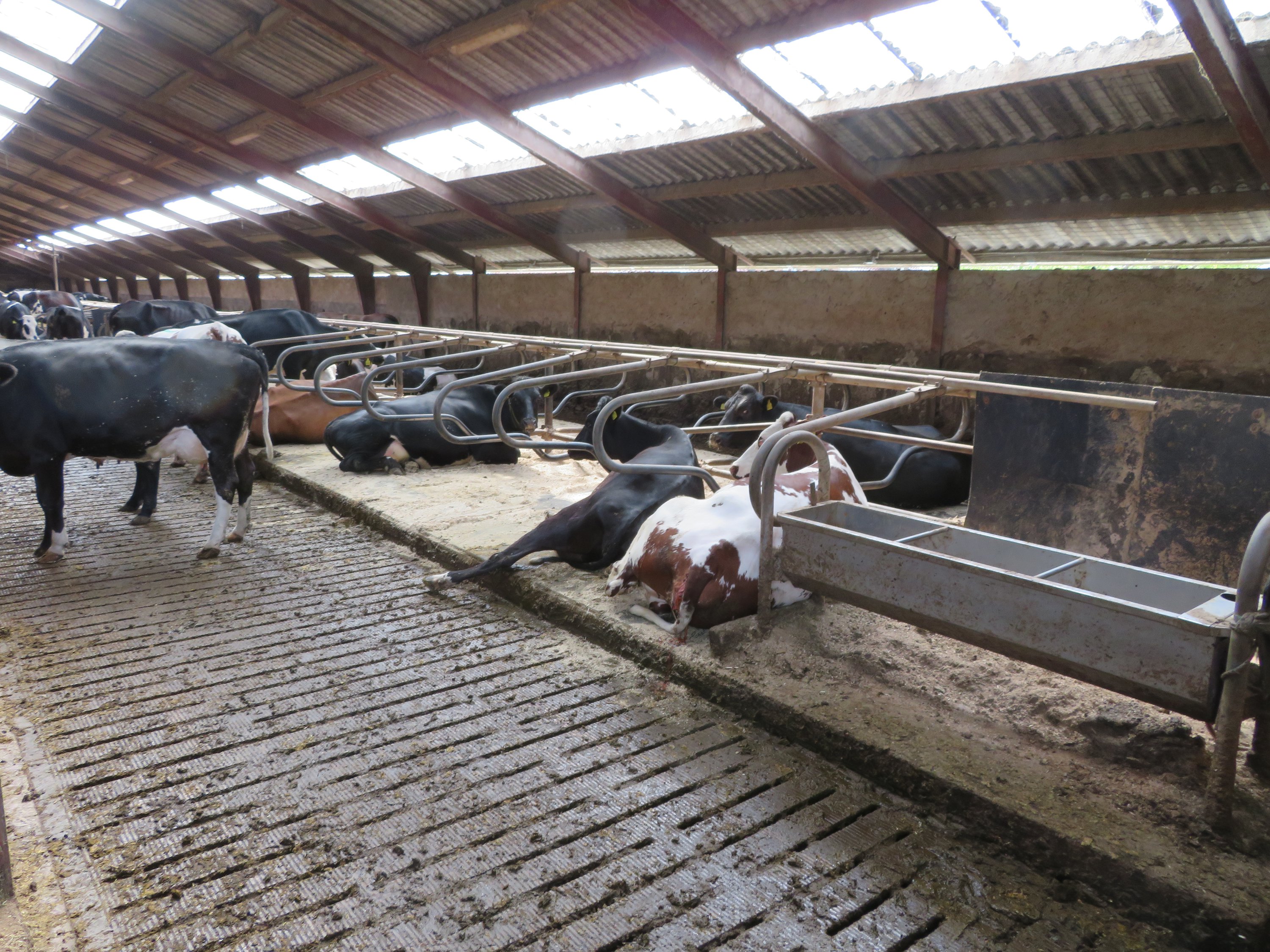 Fremhævet  billede i fuldskærmstilstand. Billede af Fjelstedvej 29, Svenstrup, 9550 Mariager