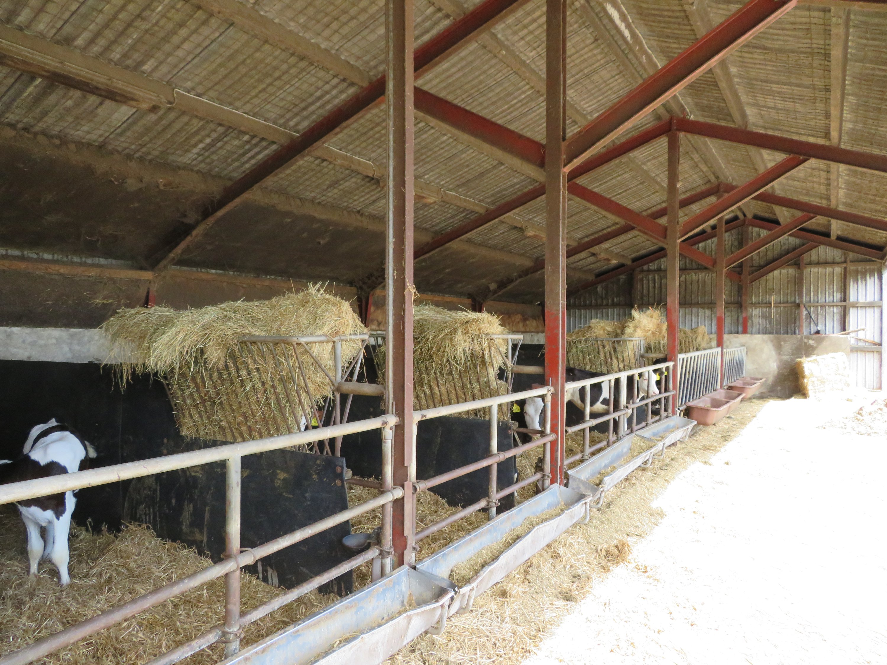 Fremhævet  billede i fuldskærmstilstand. Billede af Fjelstedvej 29, Svenstrup, 9550 Mariager