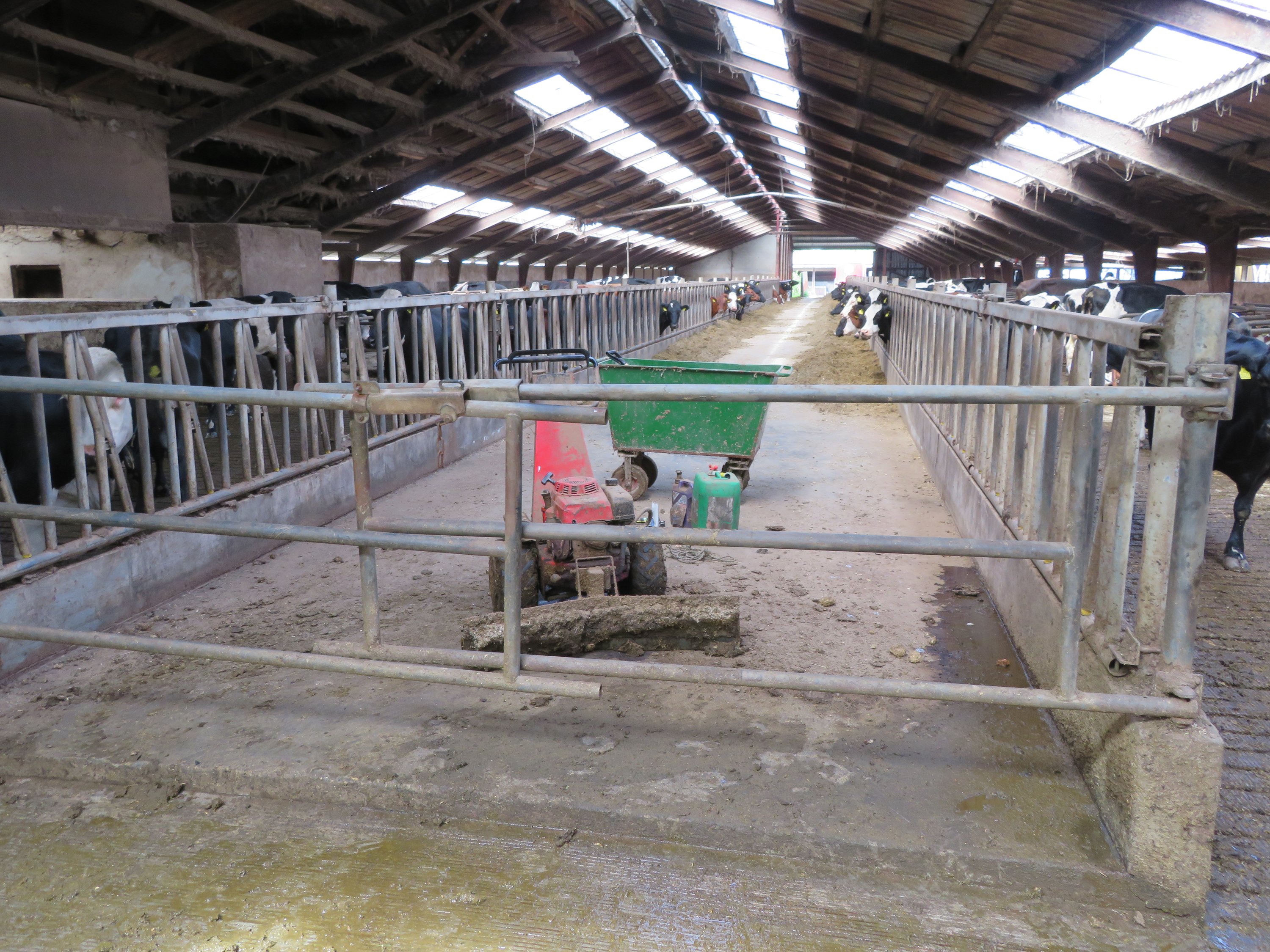 Fremhævet  billede i fuldskærmstilstand. Billede af Fjelstedvej 29, Svenstrup, 9550 Mariager