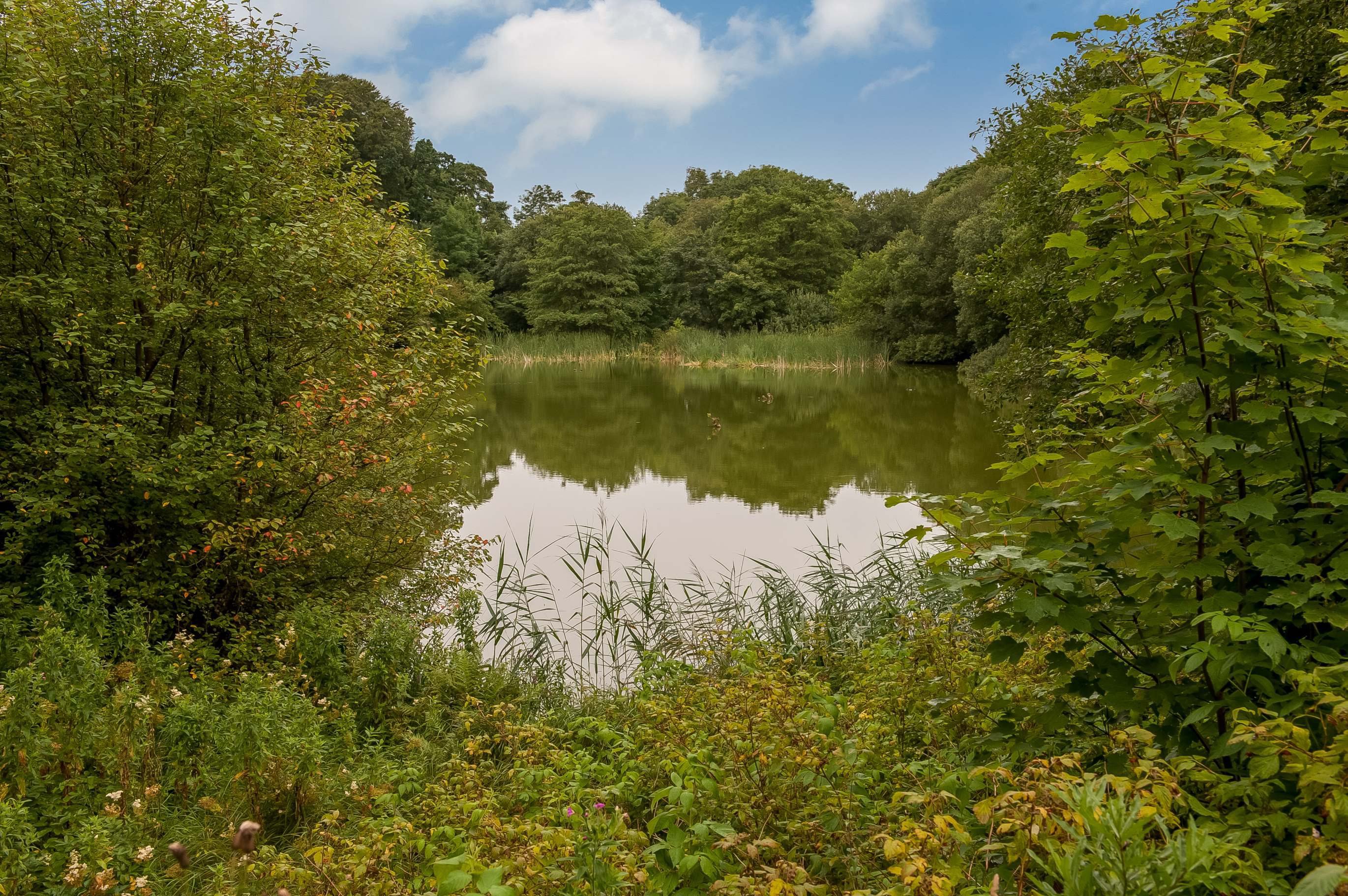 Kokkedalsvej 22, 9460 Brovst