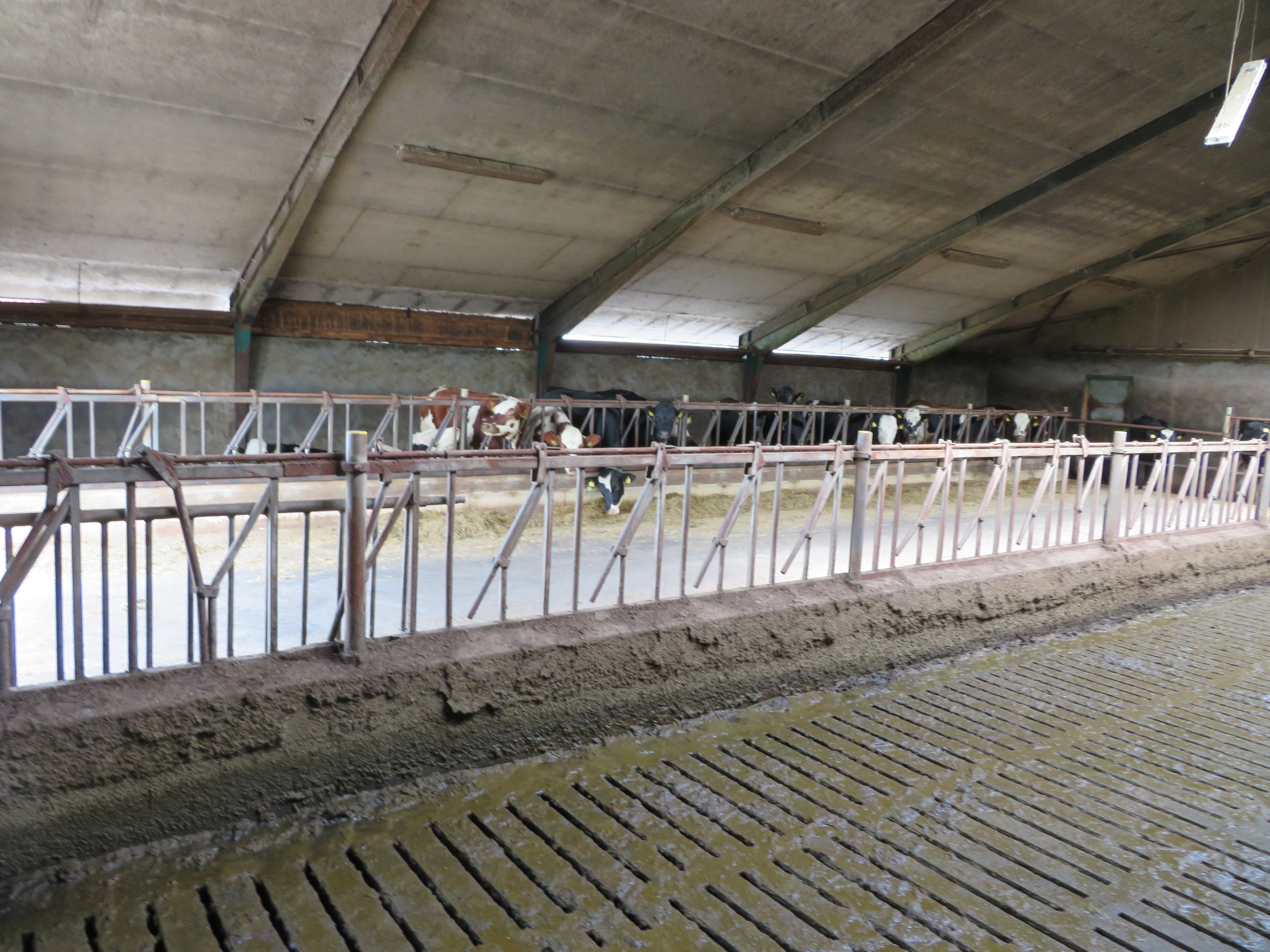 Fremhævet  billede i fuldskærmstilstand. Billede af Fjelstedvej 29, Svenstrup, 9550 Mariager