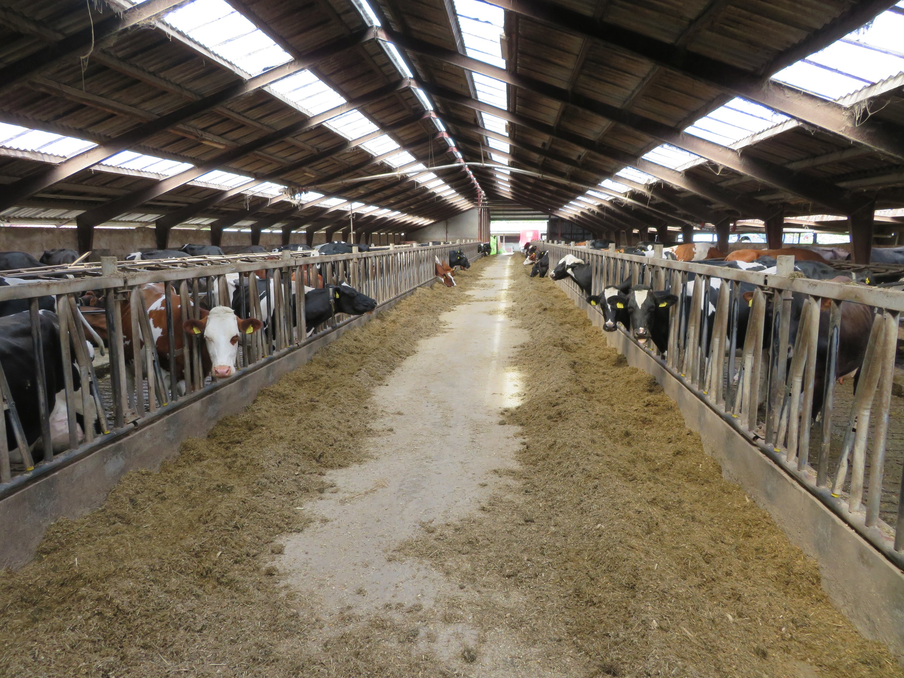 Fremhævet  billede i fuldskærmstilstand. Billede af Fjelstedvej 29, Svenstrup, 9550 Mariager