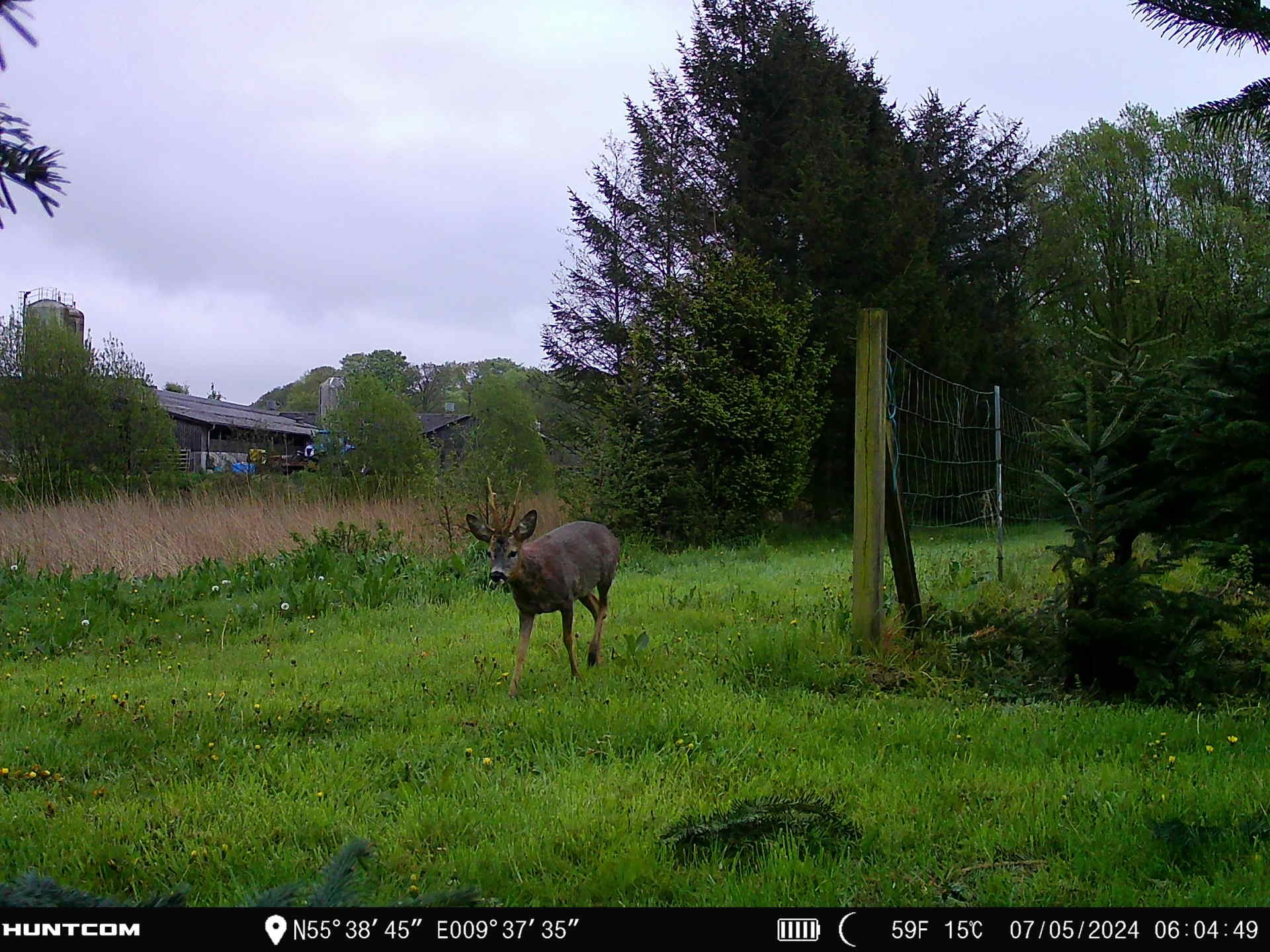 Fremhævet  billede i fuldskærmstilstand. Billede af Brandtlundvej 102, Skærup, 7080 Børkop