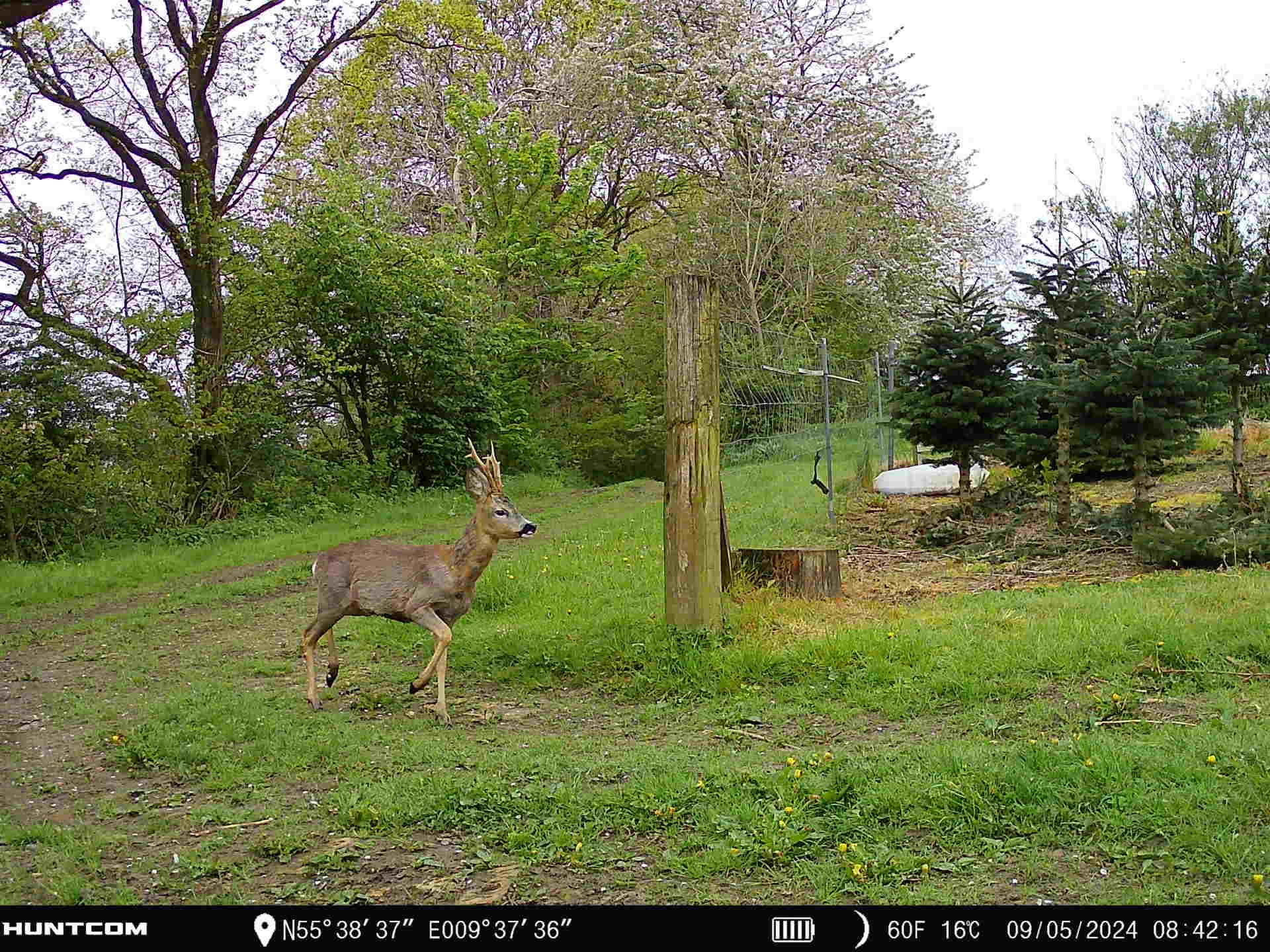 Fremhævet  billede i fuldskærmstilstand. Billede af Brandtlundvej 102, Skærup, 7080 Børkop