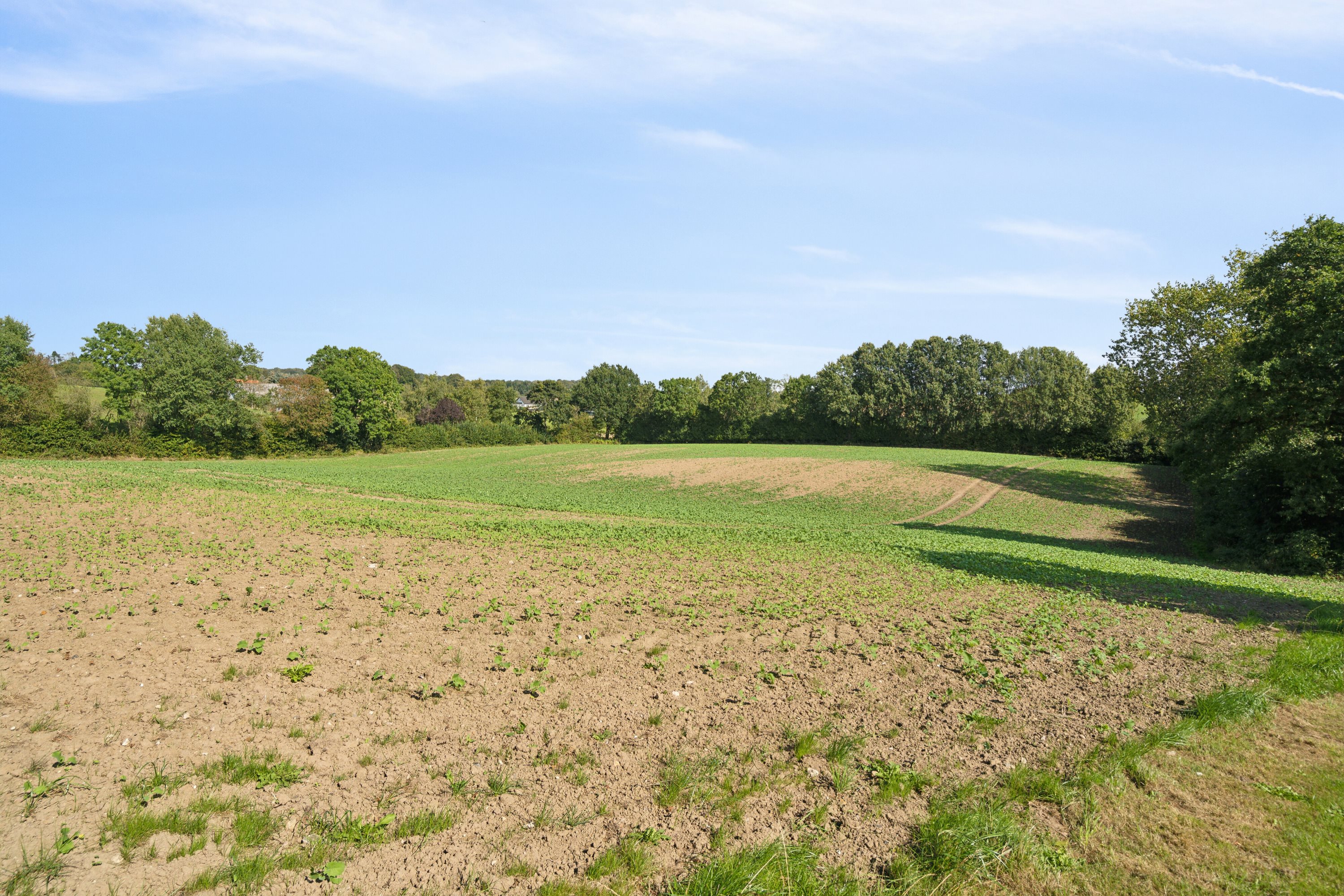 Fremhævet markkig billede i fuldskærmstilstand. Billede af Middelfartvej 635, Spedsbjerg, 5491 Blommenslyst