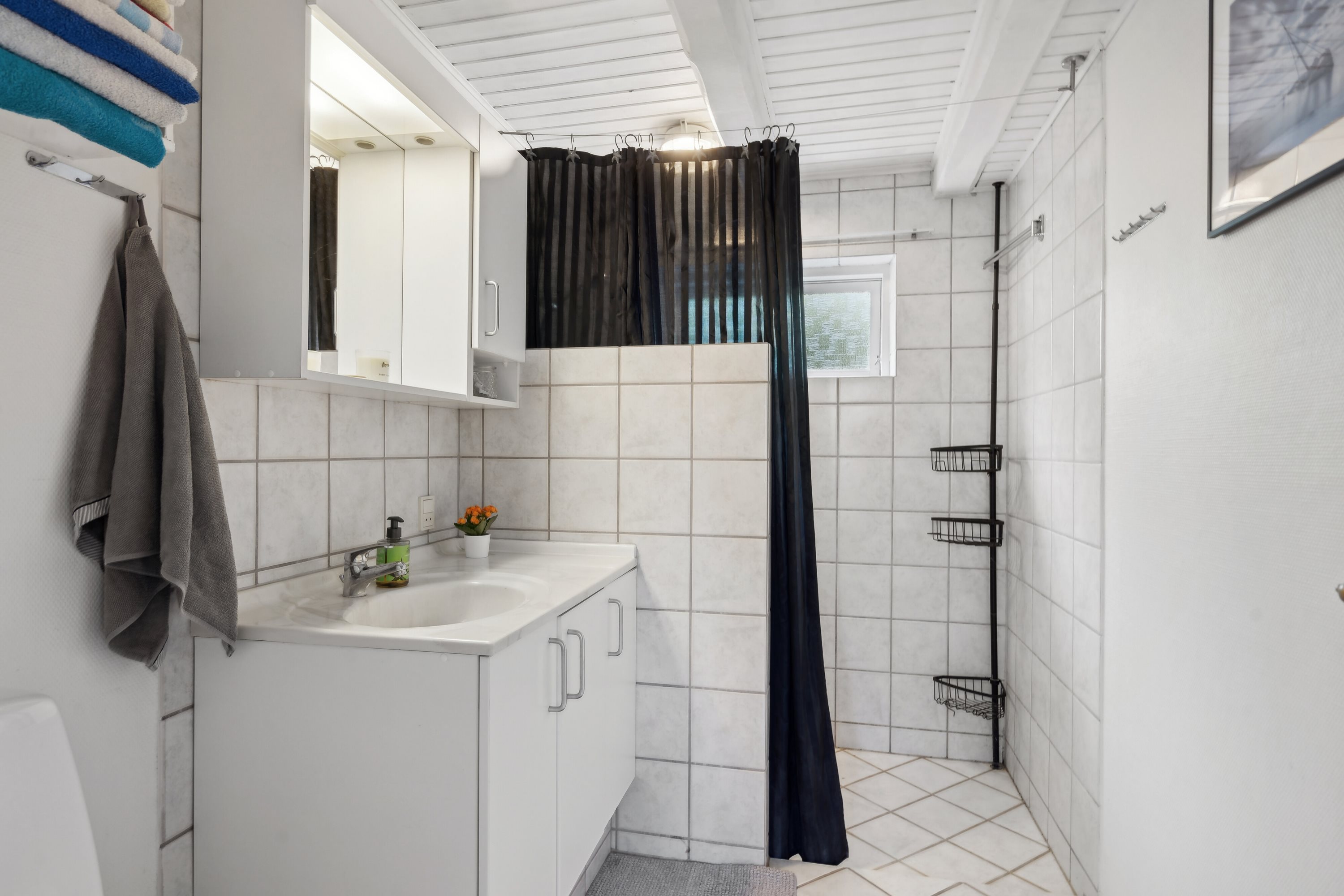 Fremhævet badeværelse stueplan billede i fuldskærmstilstand. Billede af Middelfartvej 635, Spedsbjerg, 5491 Blommenslyst