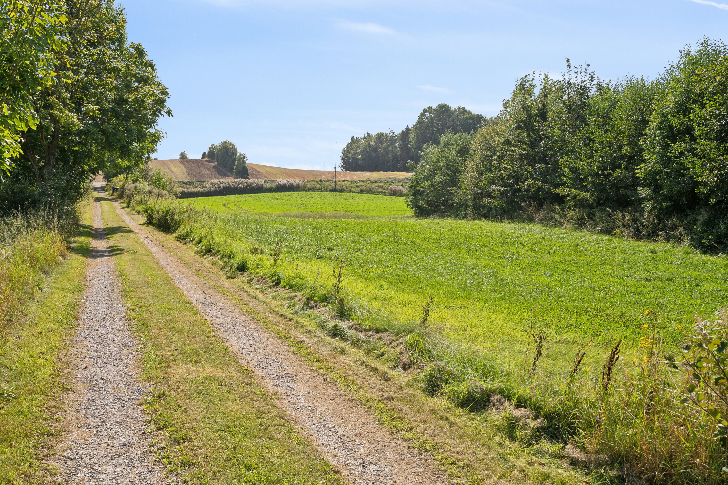 Miniaturebillede 1: indkørsel. Billede af Middelfartvej 635, Spedsbjerg, 5491 Blommenslyst