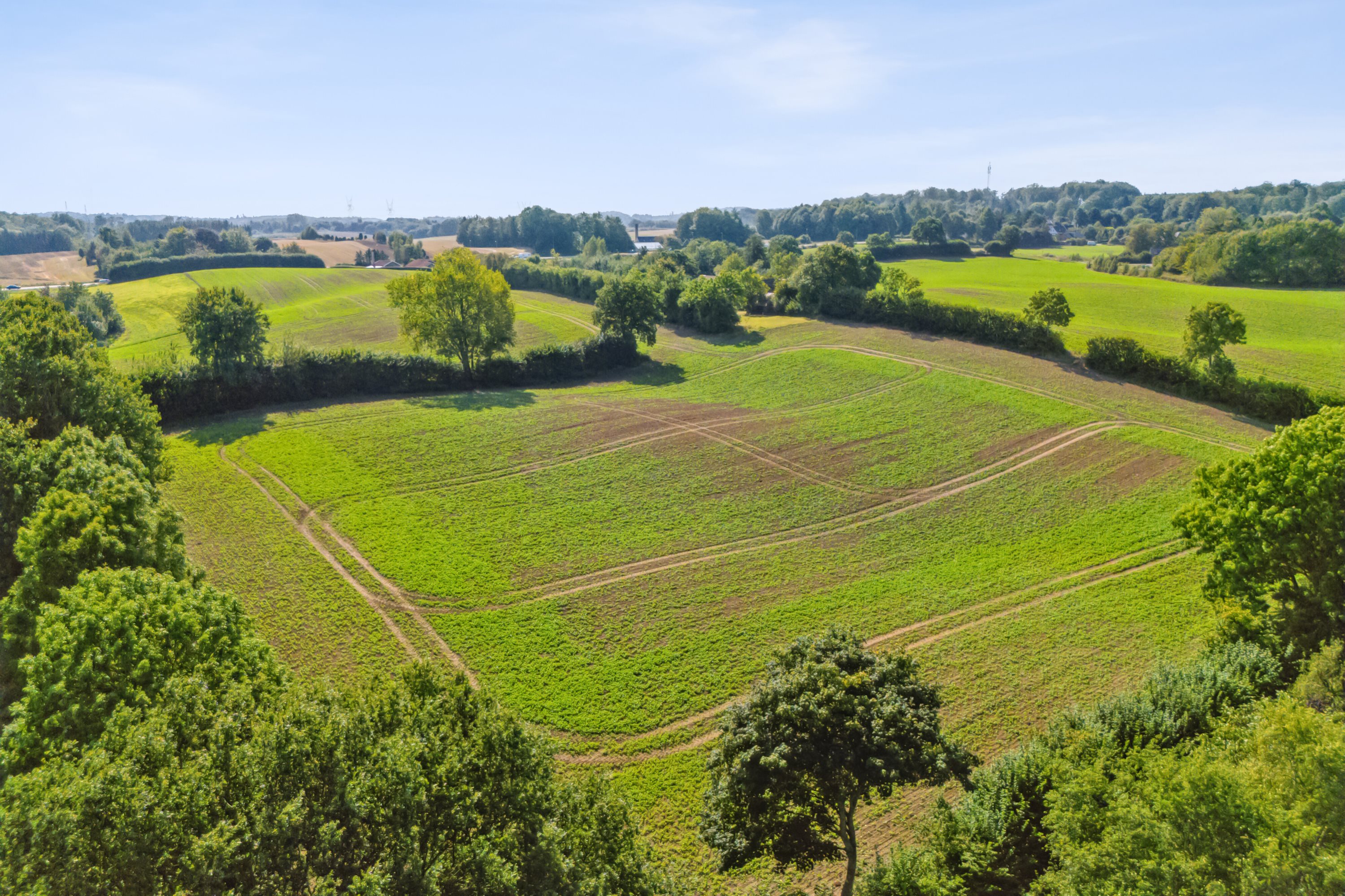 Fremhævet ejendommens mark billede i fuldskærmstilstand. Billede af Middelfartvej 635, Spedsbjerg, 5491 Blommenslyst