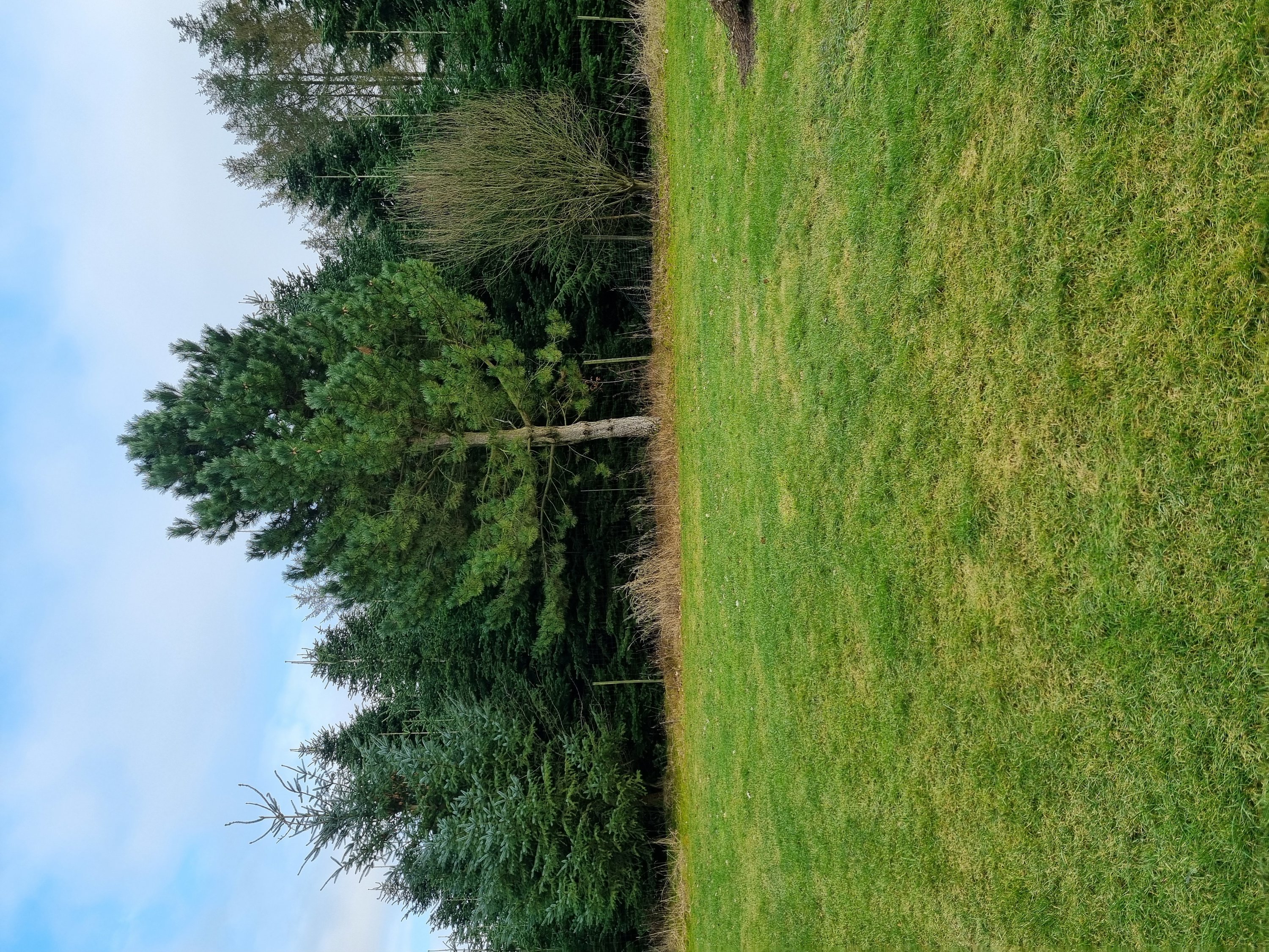 Fremhævet  billede i fuldskærmstilstand. Billede af Erbækvej 21, 8380 Trige