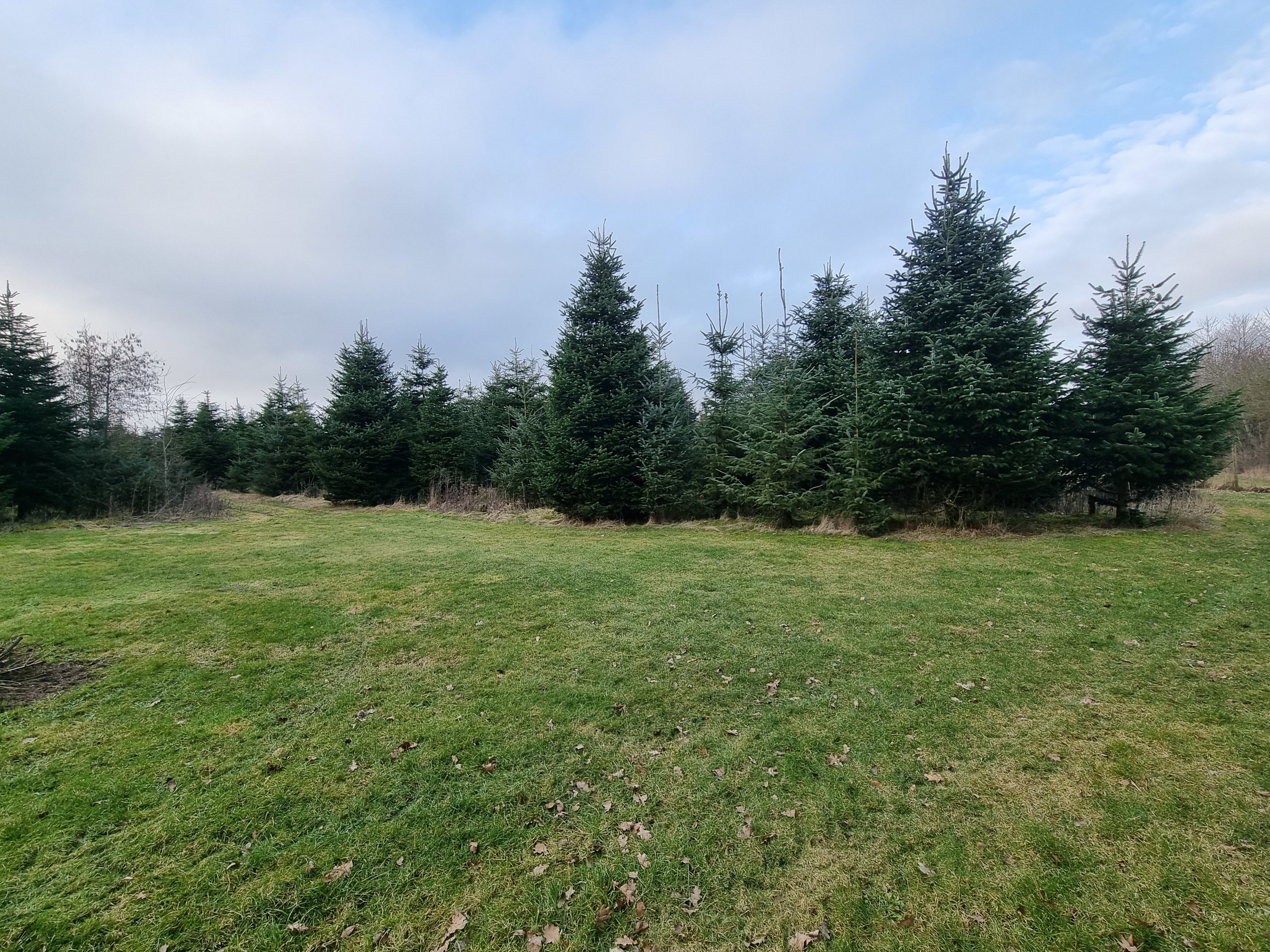 Fremhævet  billede i fuldskærmstilstand. Billede af Erbækvej 21, 8380 Trige