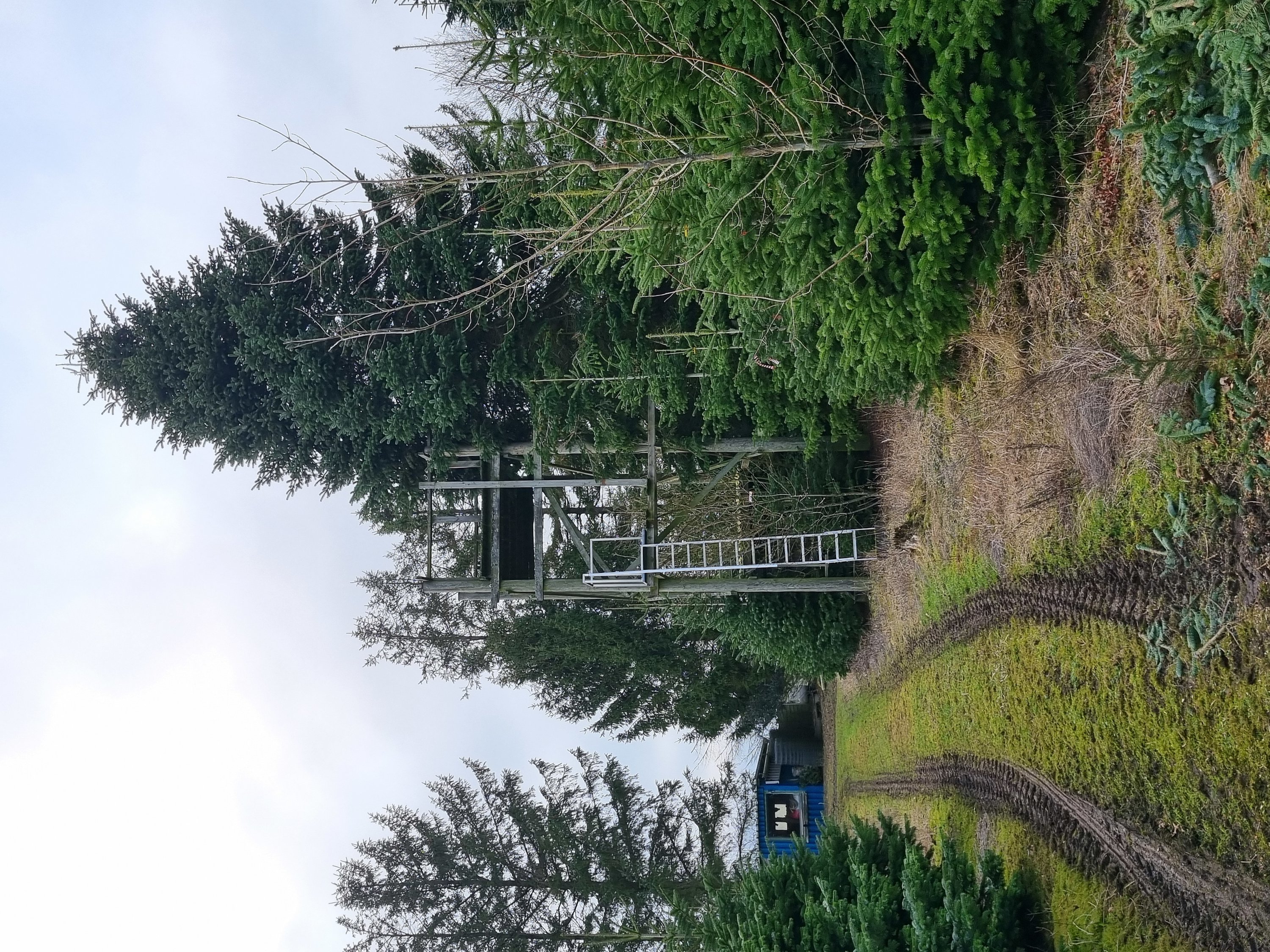 Fremhævet  billede i fuldskærmstilstand. Billede af Erbækvej 21, 8380 Trige