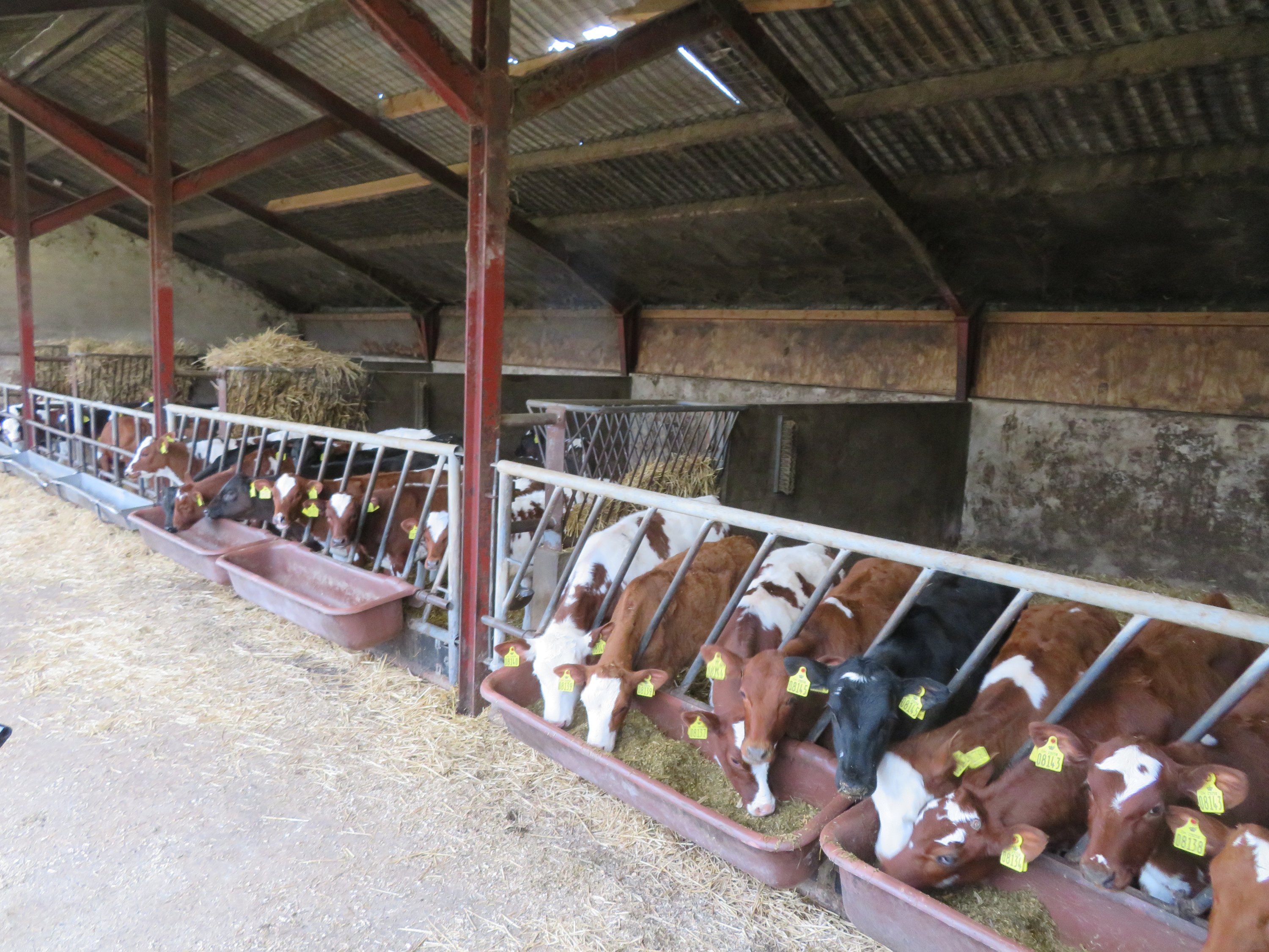 Fremhævet  billede i fuldskærmstilstand. Billede af Fjelstedvej 29, Svenstrup, 9550 Mariager