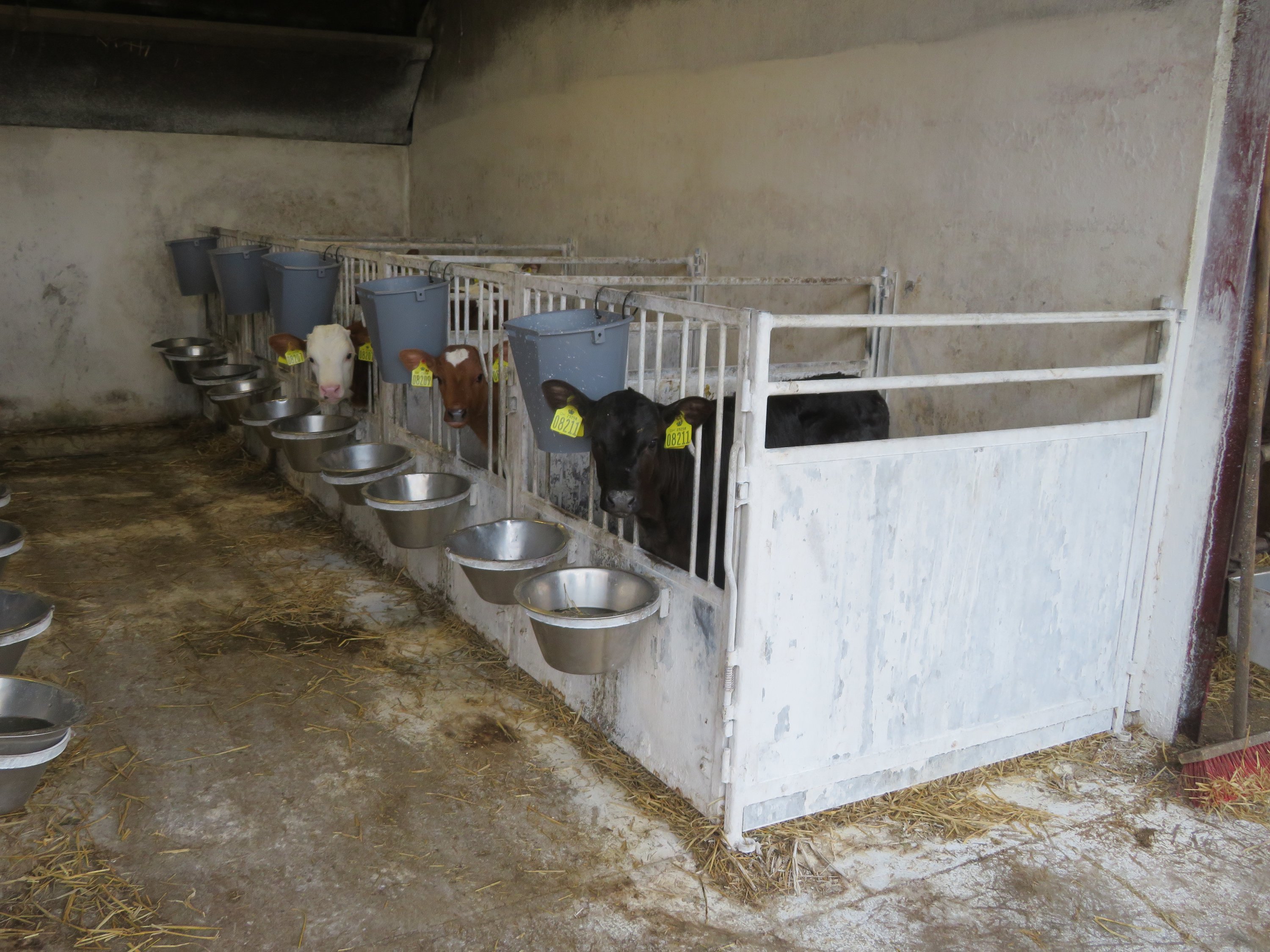 Fremhævet  billede i fuldskærmstilstand. Billede af Fjelstedvej 29, Svenstrup, 9550 Mariager