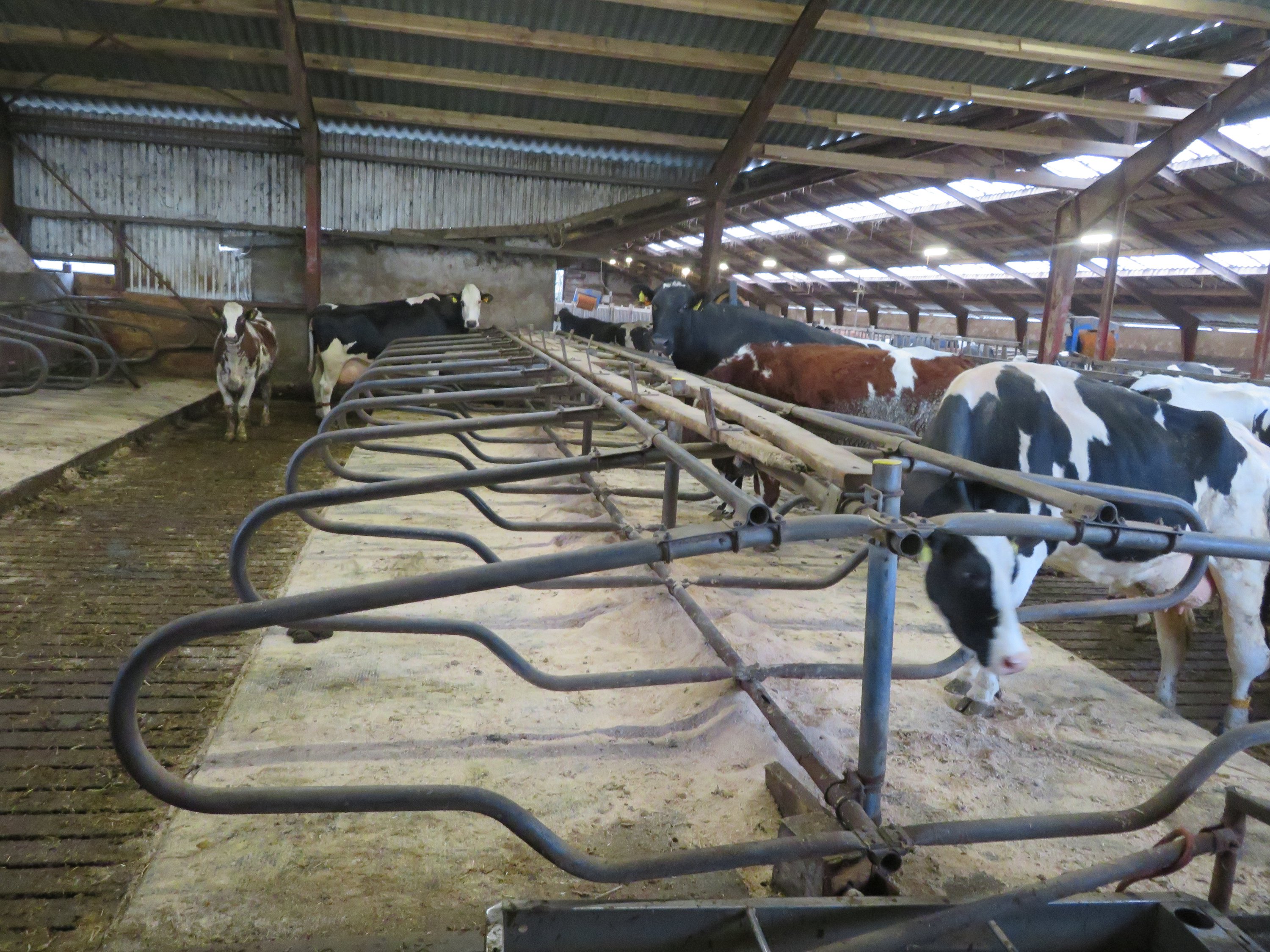 Fremhævet  billede i fuldskærmstilstand. Billede af Fjelstedvej 29, Svenstrup, 9550 Mariager