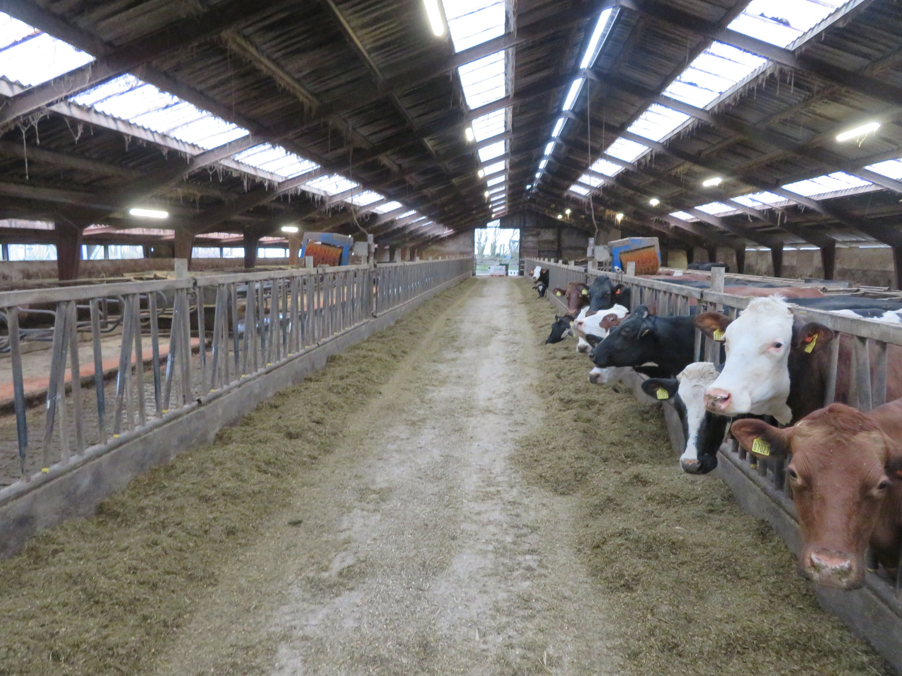 Fremhævet  billede i fuldskærmstilstand. Billede af Fjelstedvej 29, Svenstrup, 9550 Mariager