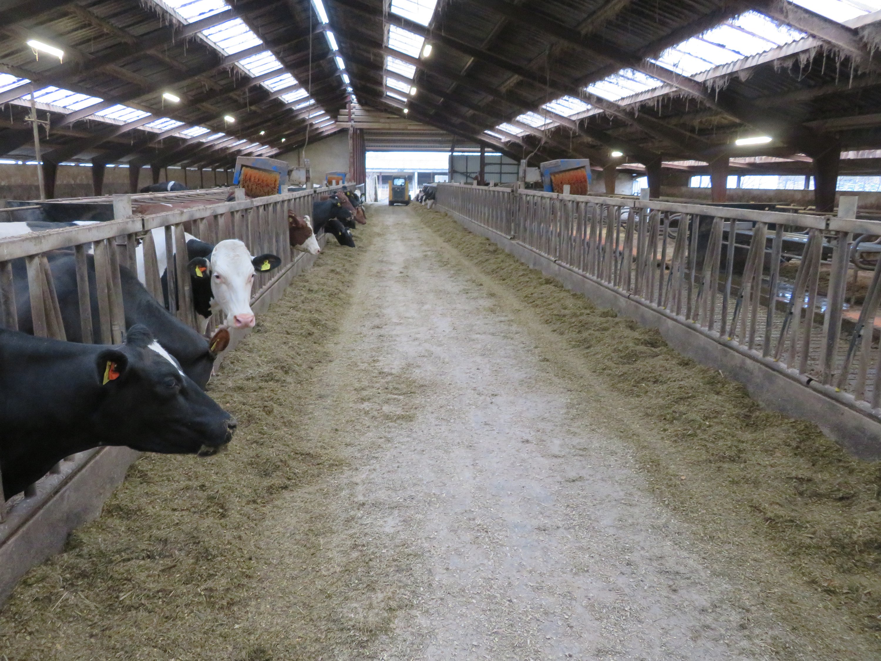 Fremhævet  billede i fuldskærmstilstand. Billede af Fjelstedvej 29, Svenstrup, 9550 Mariager