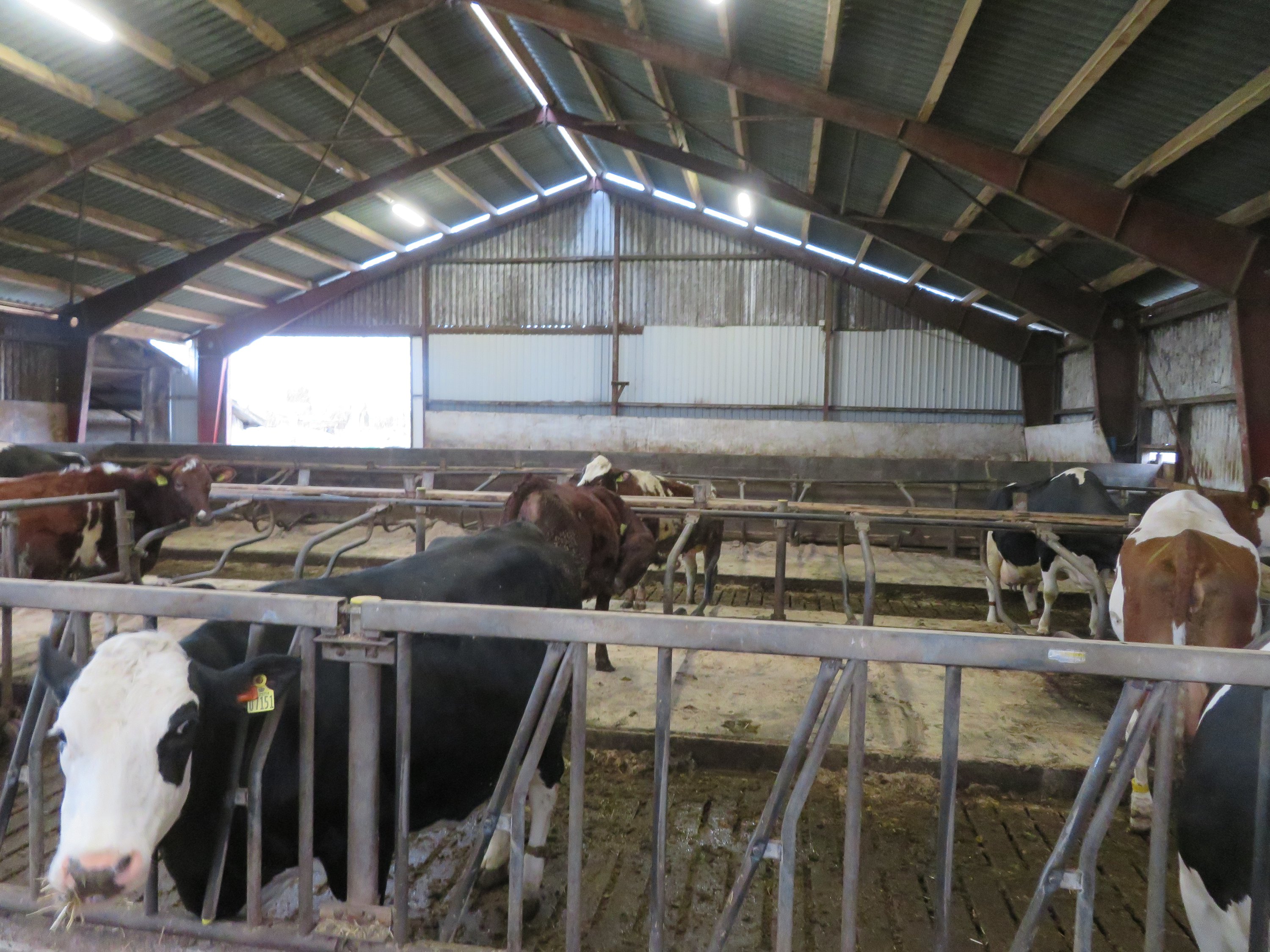 Fremhævet  billede i fuldskærmstilstand. Billede af Fjelstedvej 29, Svenstrup, 9550 Mariager