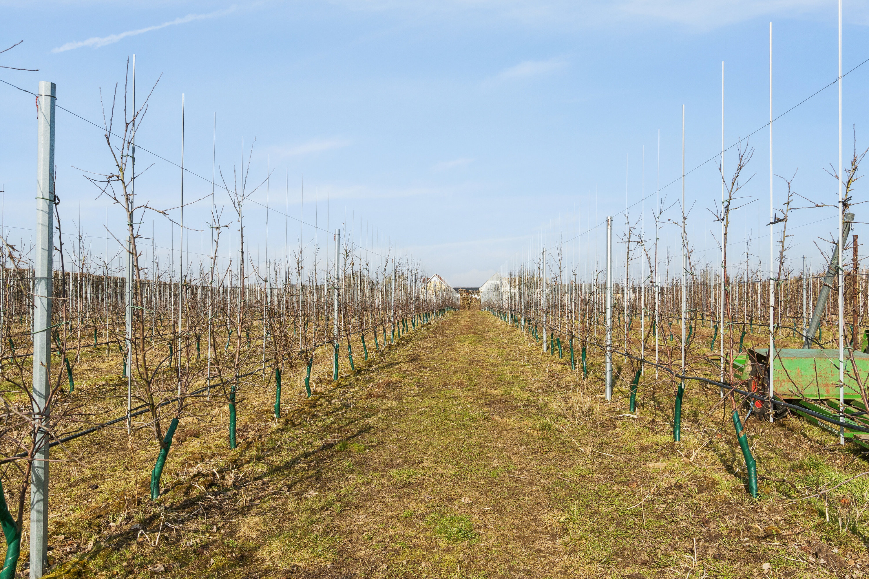 Fremhævet frugtplantage billede i fuldskærmstilstand. Billede af Præstemarken 6, Nr Broby, 5672 Broby