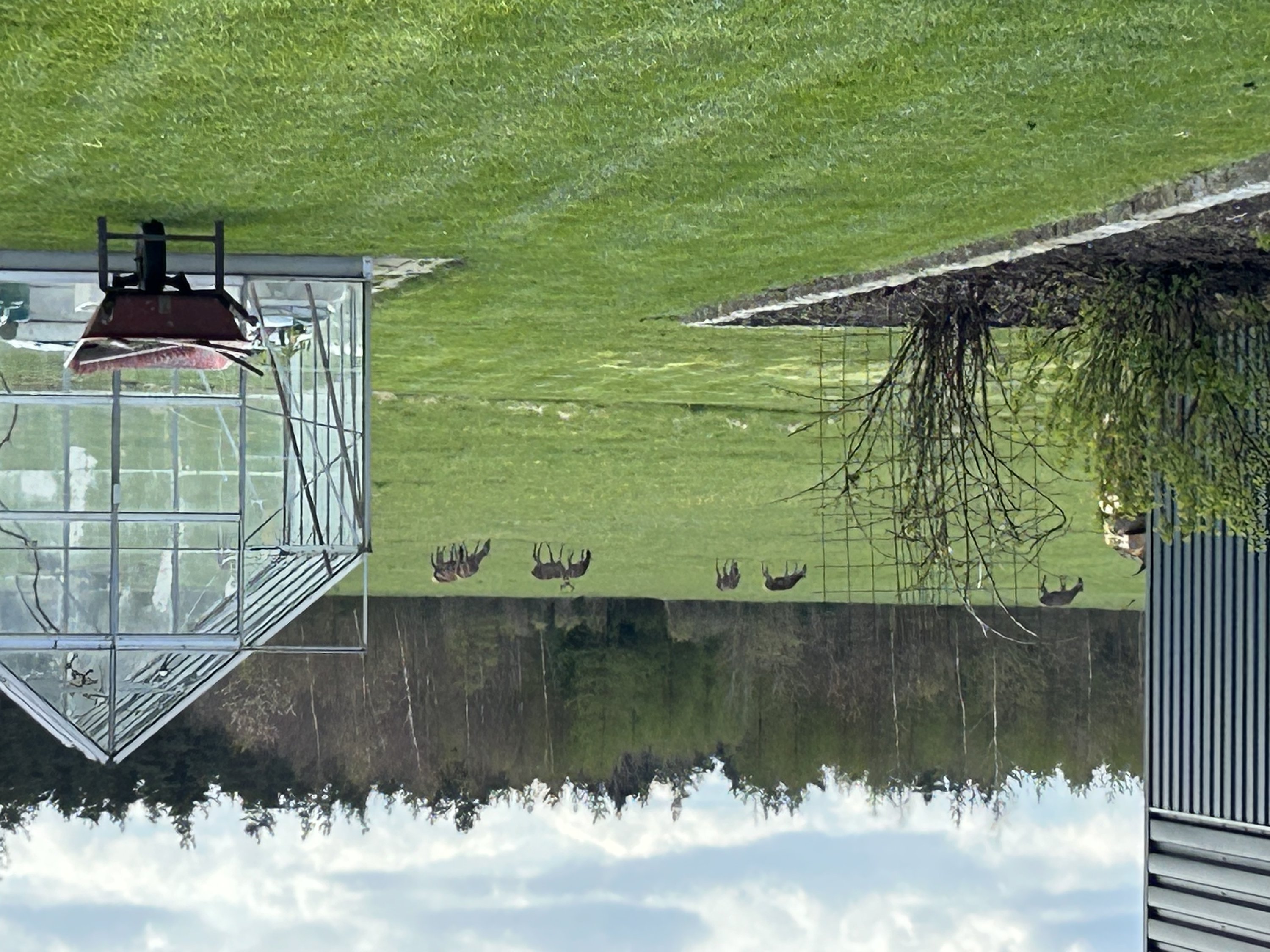 Fremhævet  billede i fuldskærmstilstand. Billede af Ravnholtvej 5 udstykning, Knudstrup, 8620 Kjellerup