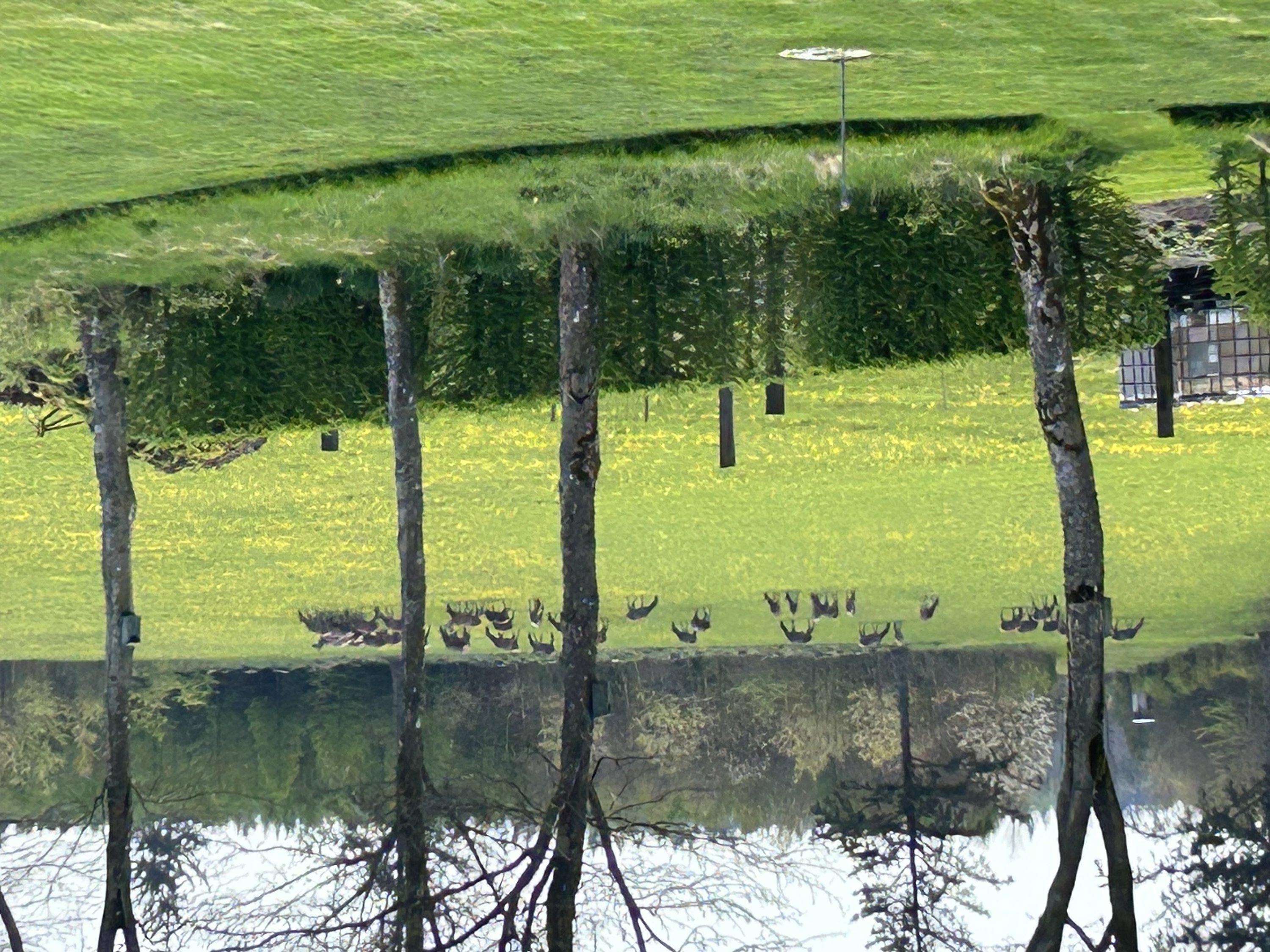 Fremhævet  billede i fuldskærmstilstand. Billede af Ravnholtvej 5 udstykning, Knudstrup, 8620 Kjellerup