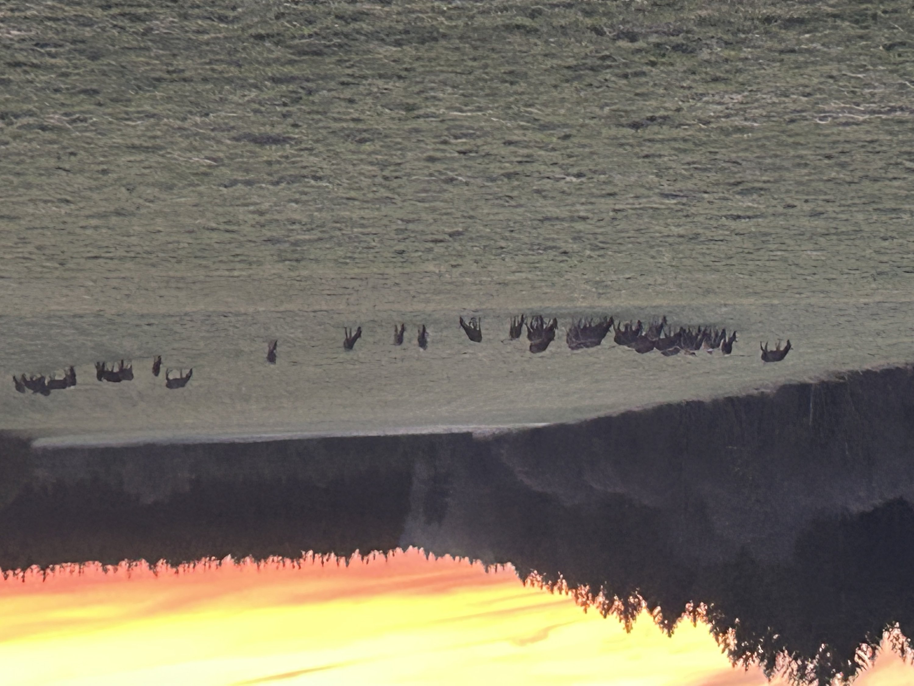 Fremhævet  billede i fuldskærmstilstand. Billede af Ravnholtvej 5 udstykning, Knudstrup, 8620 Kjellerup