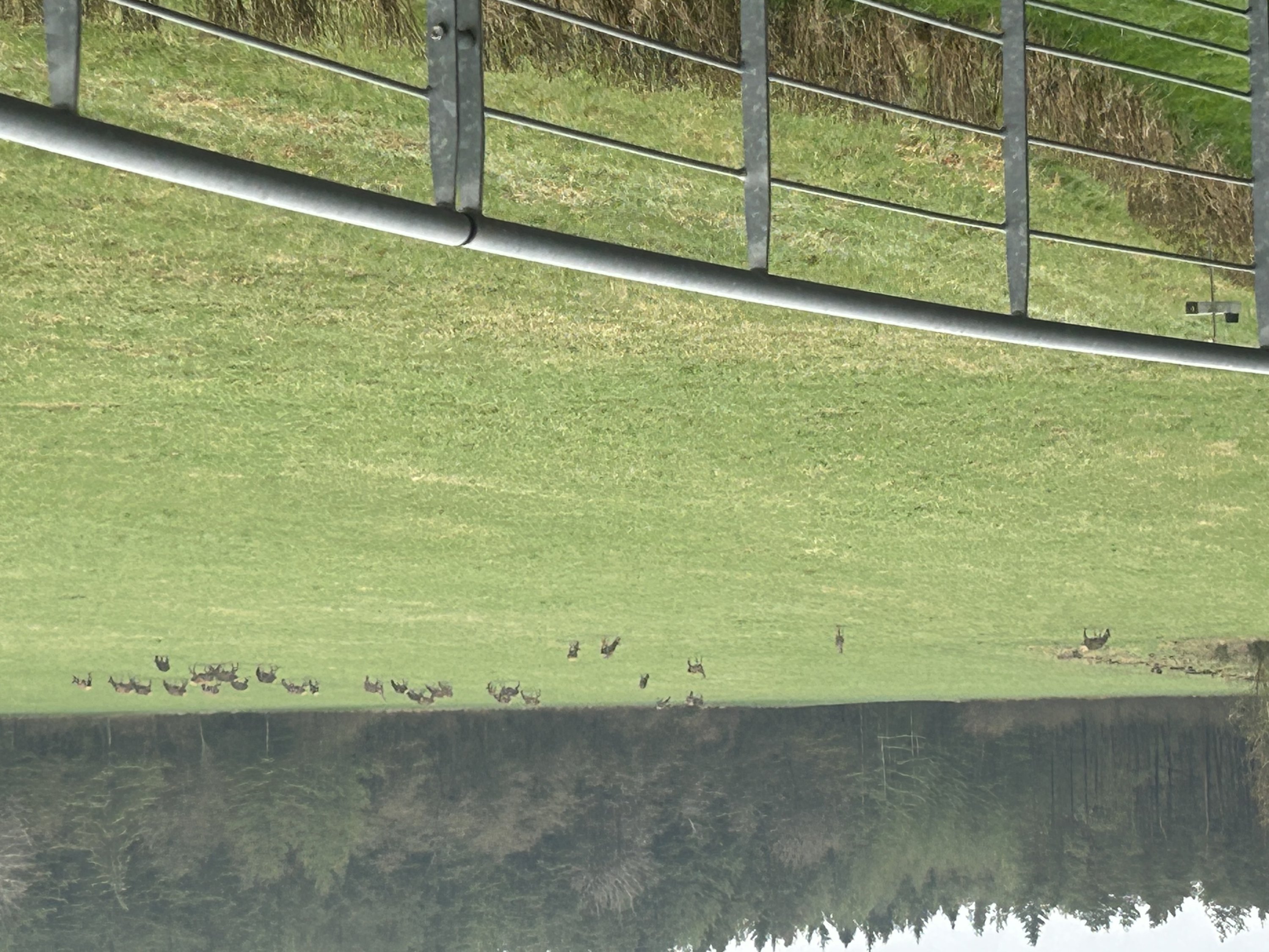 Fremhævet  billede i fuldskærmstilstand. Billede af Ravnholtvej 5 udstykning, Knudstrup, 8620 Kjellerup