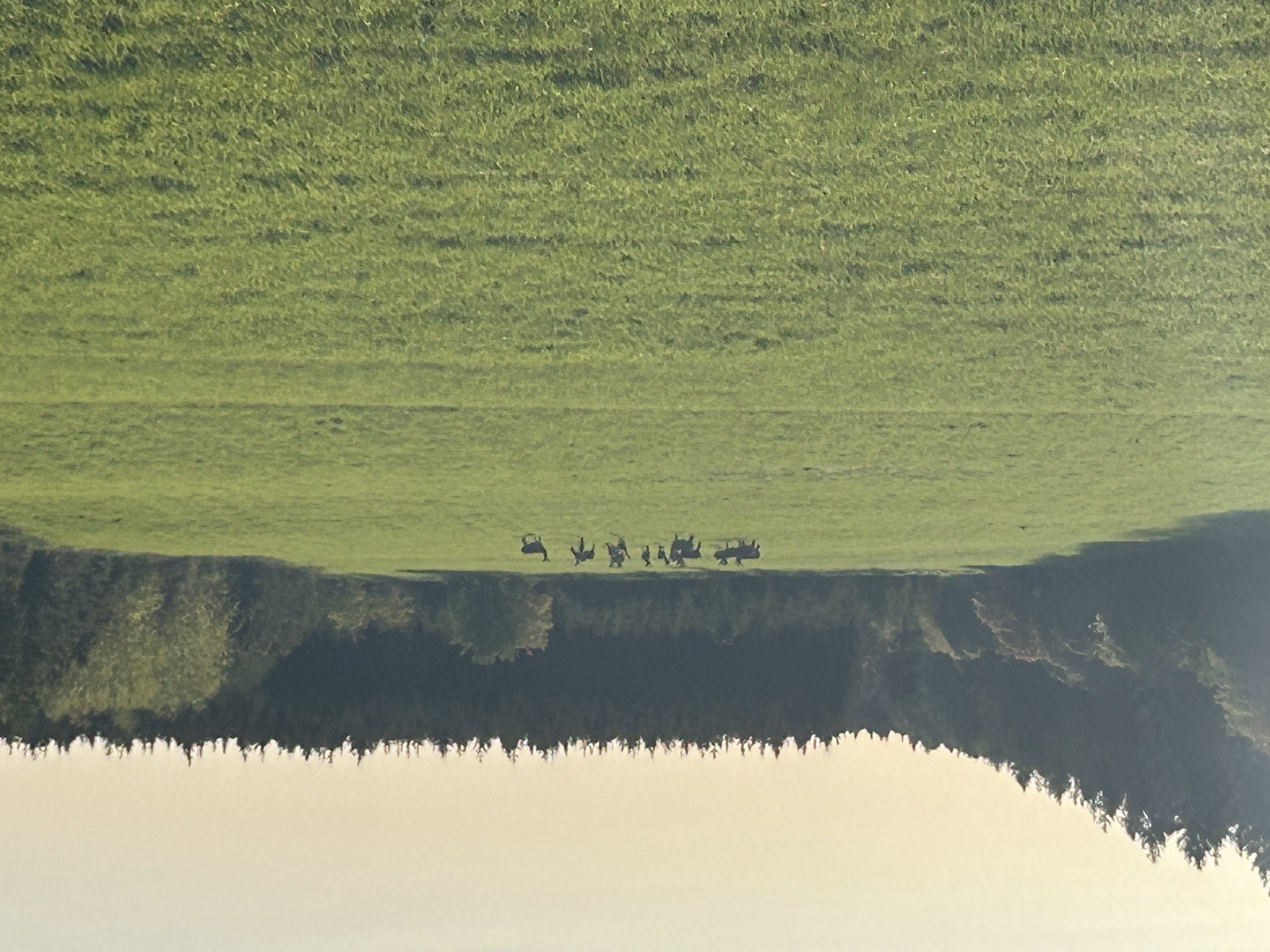 Fremhævet  billede i fuldskærmstilstand. Billede af Ravnholtvej 5 udstykning, Knudstrup, 8620 Kjellerup