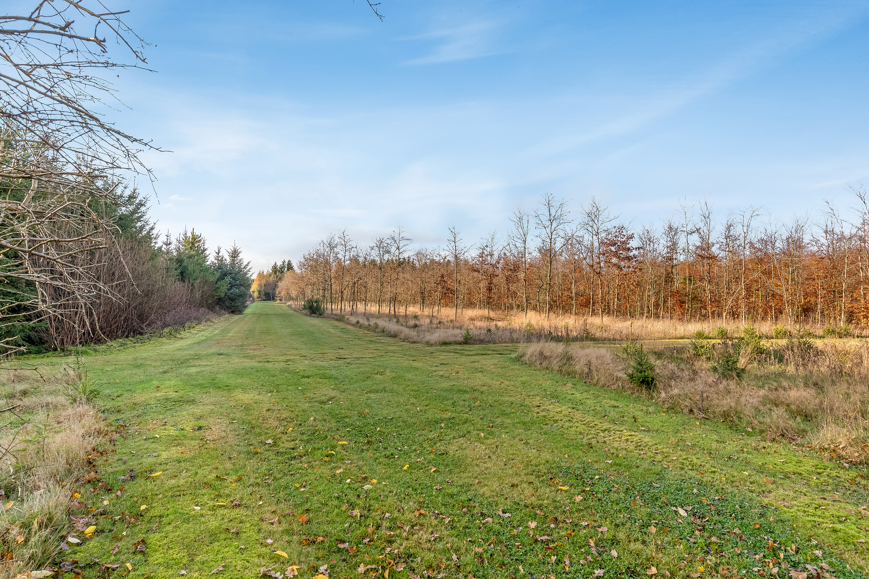 Fremhævet jordtilliggende billede i fuldskærmstilstand. Billede af Del af Meldmosevej 5, Møborg, 7660 Bækmarksbro
