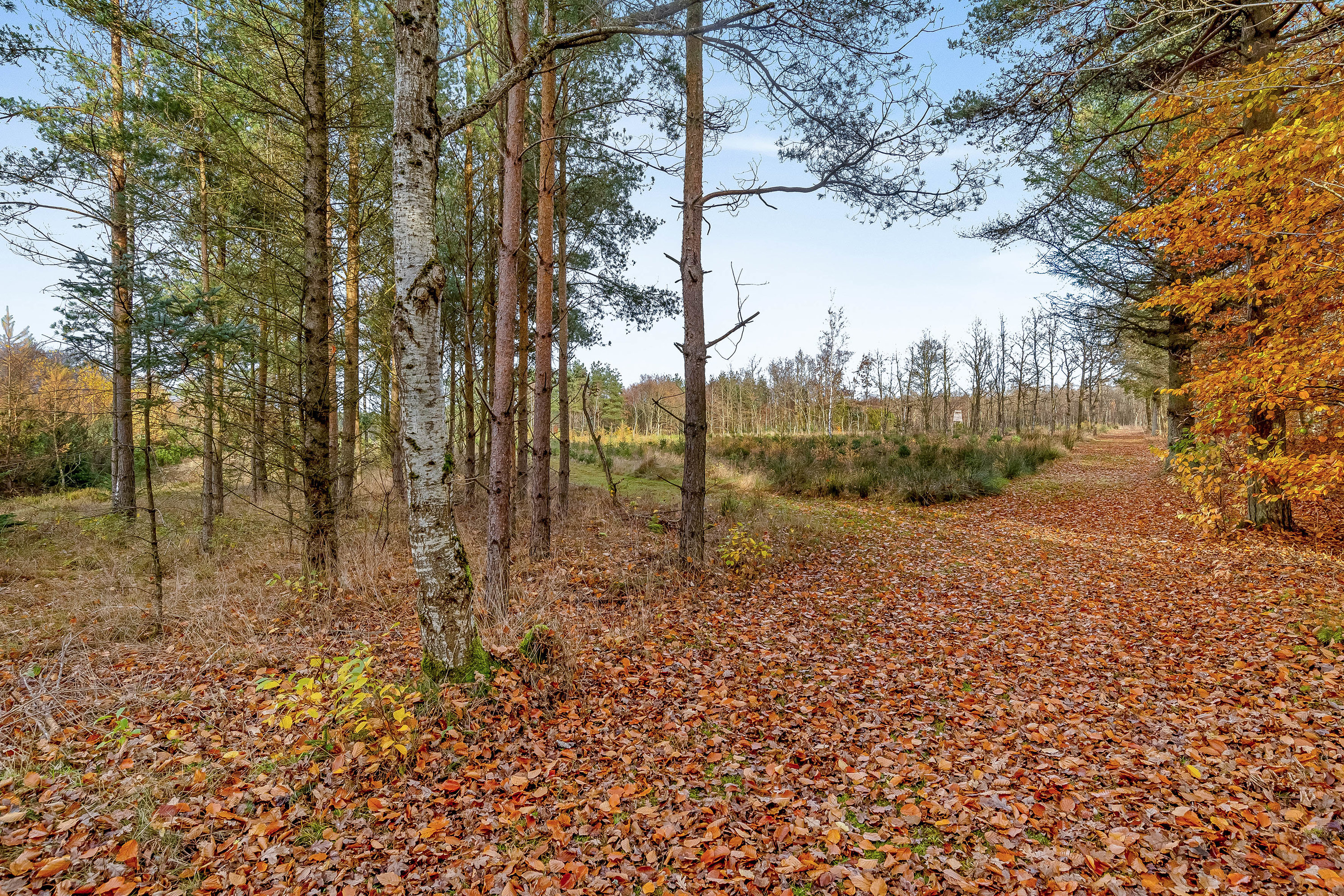 Fremhævet jordtilliggende billede i fuldskærmstilstand. Billede af Del af Meldmosevej 5, Møborg, 7660 Bækmarksbro