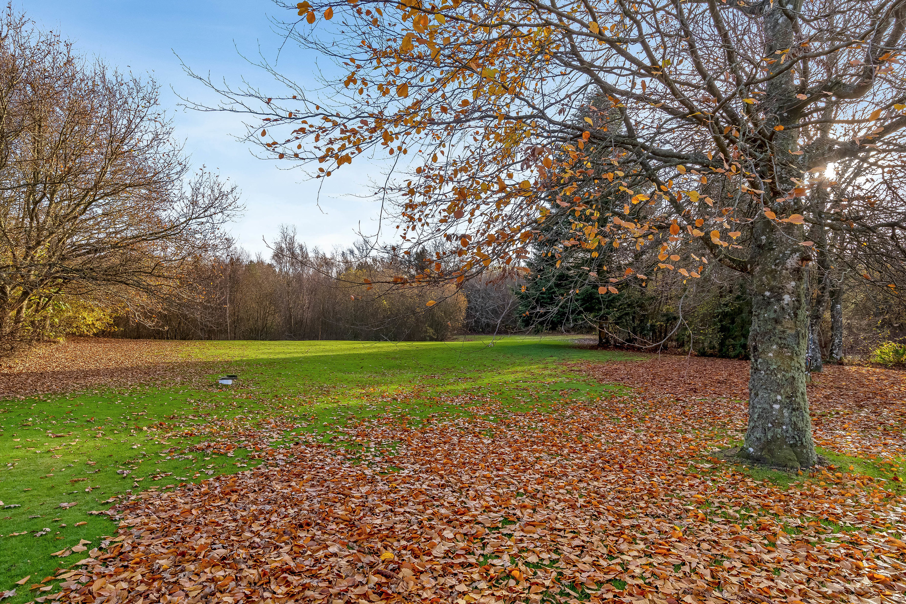 Fremhævet have billede i fuldskærmstilstand. Billede af Del af Meldmosevej 5, Møborg, 7660 Bækmarksbro