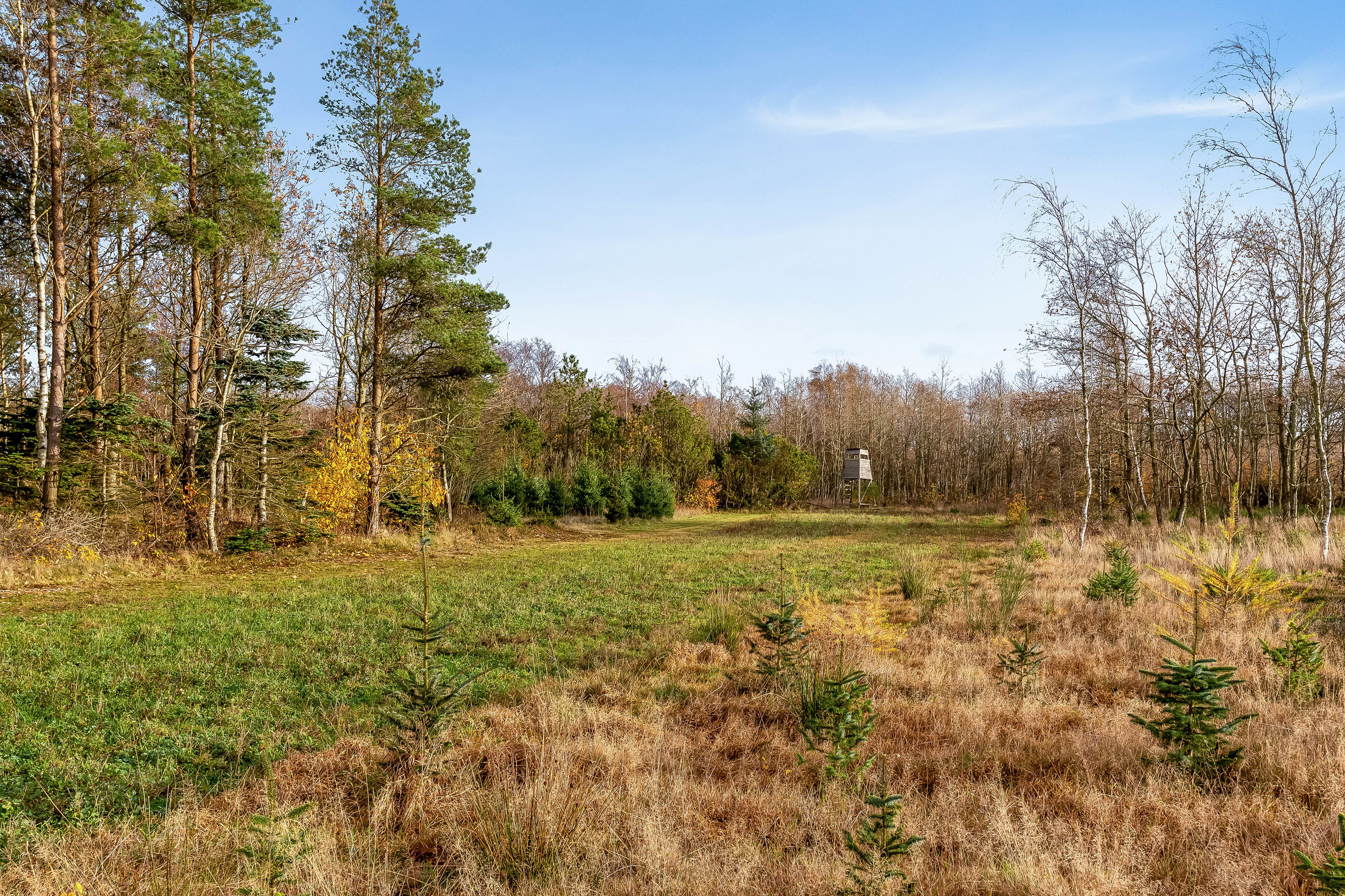 Fremhævet jordtilliggende billede i fuldskærmstilstand. Billede af Del af Meldmosevej 5, Møborg, 7660 Bækmarksbro