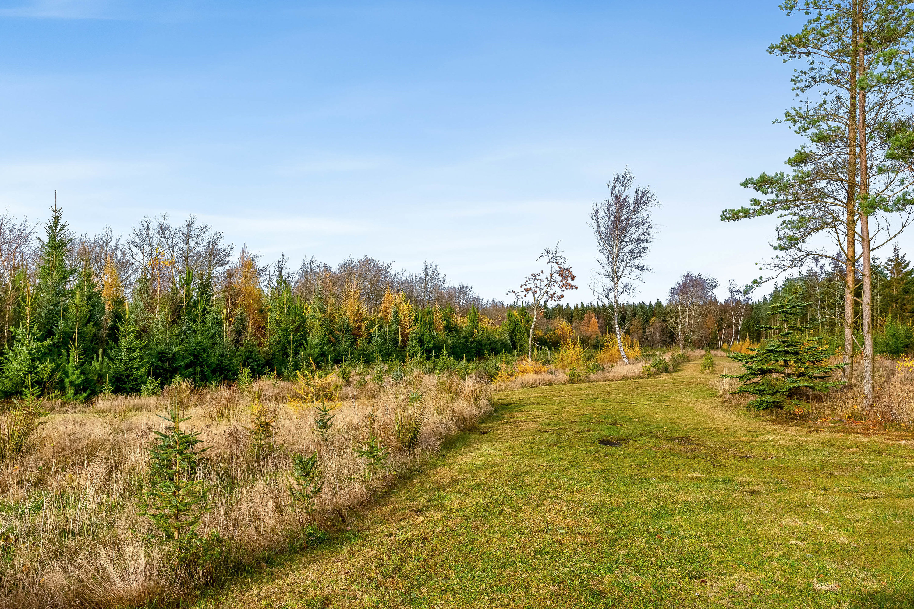 Fremhævet jordtilliggende billede i fuldskærmstilstand. Billede af Del af Meldmosevej 5, Møborg, 7660 Bækmarksbro