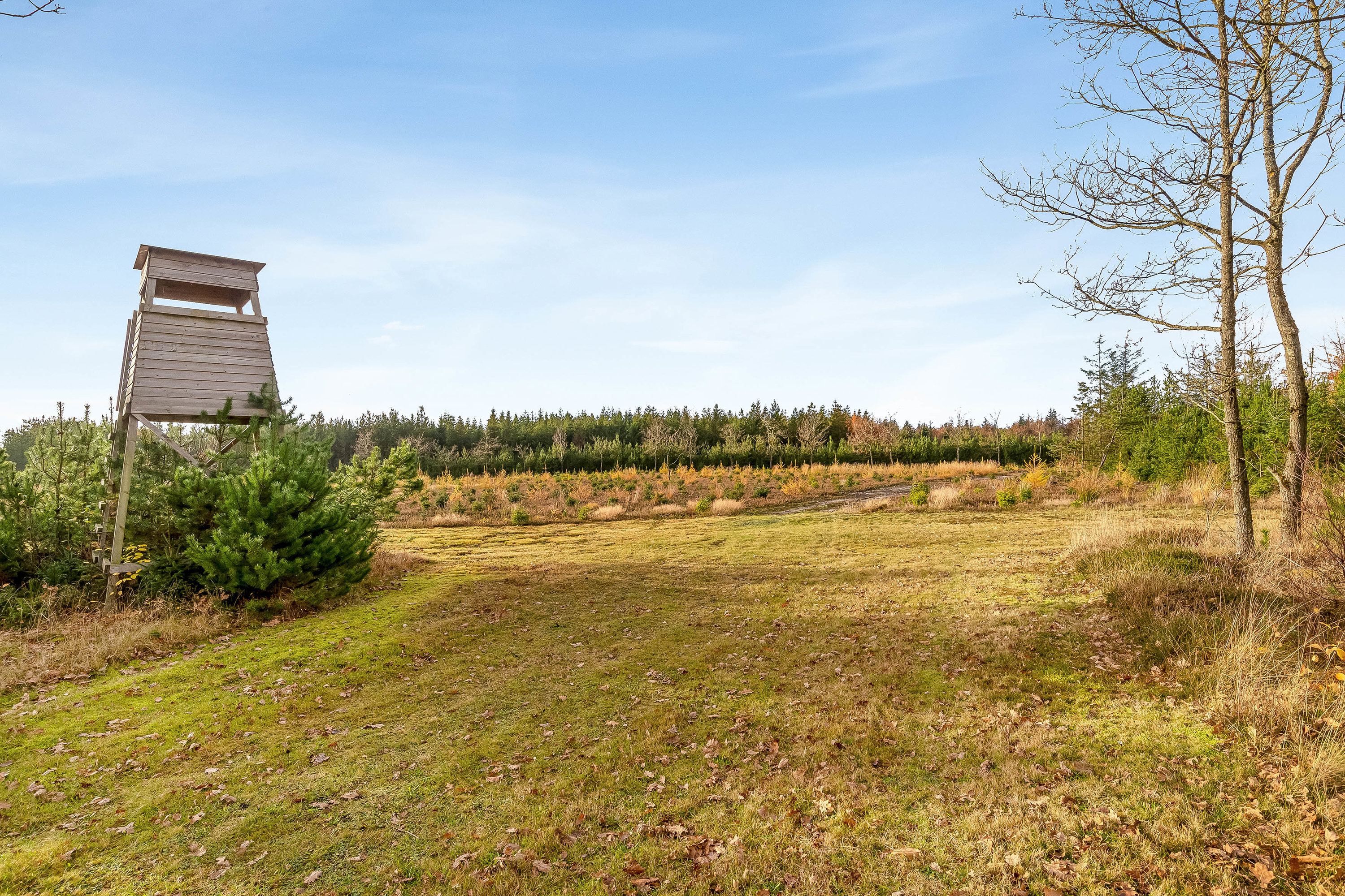 Fremhævet jordtilliggende billede i fuldskærmstilstand. Billede af Del af Meldmosevej 5, Møborg, 7660 Bækmarksbro