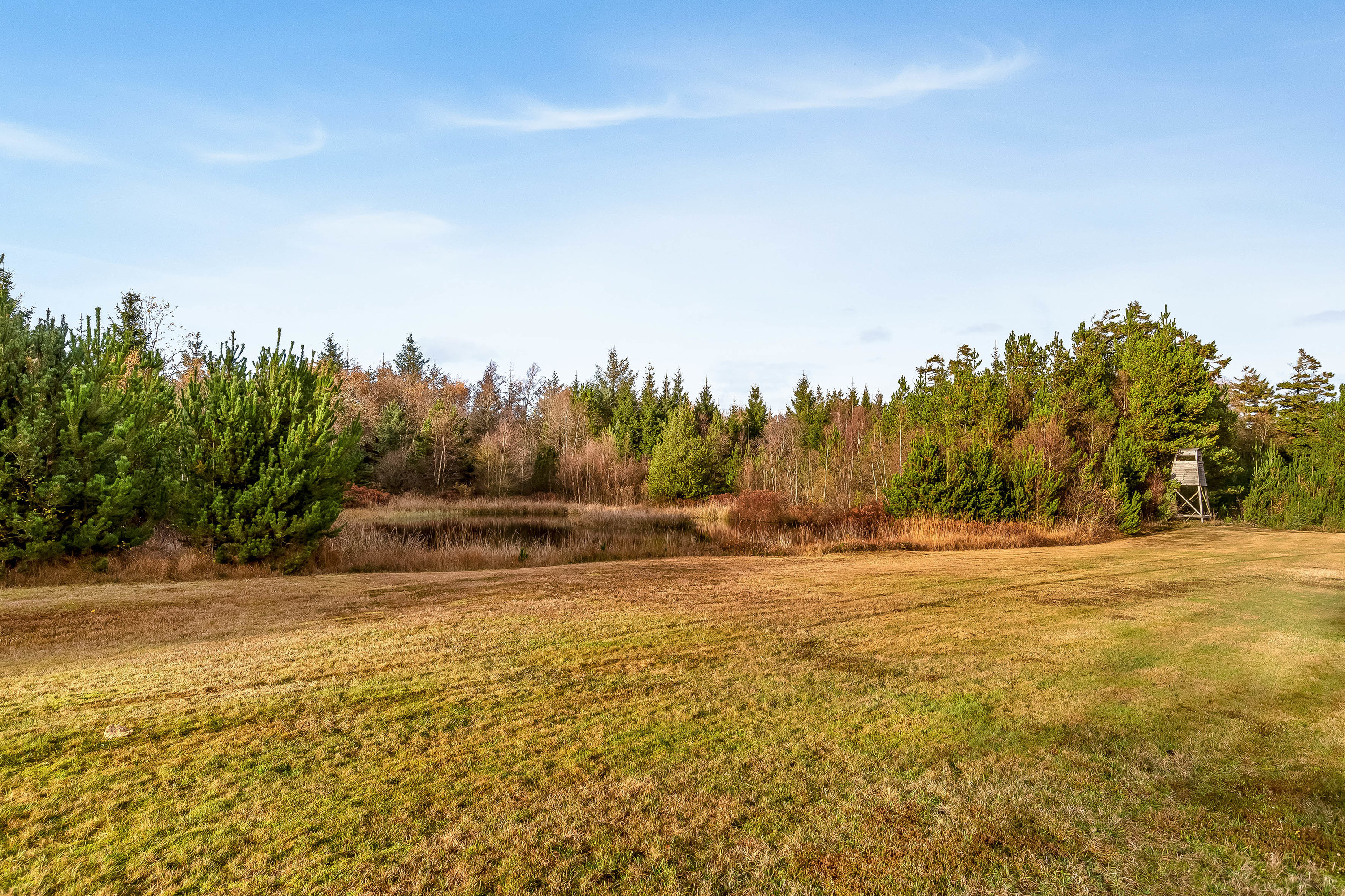 Fremhævet jordtilliggende billede i fuldskærmstilstand. Billede af Del af Meldmosevej 5, Møborg, 7660 Bækmarksbro