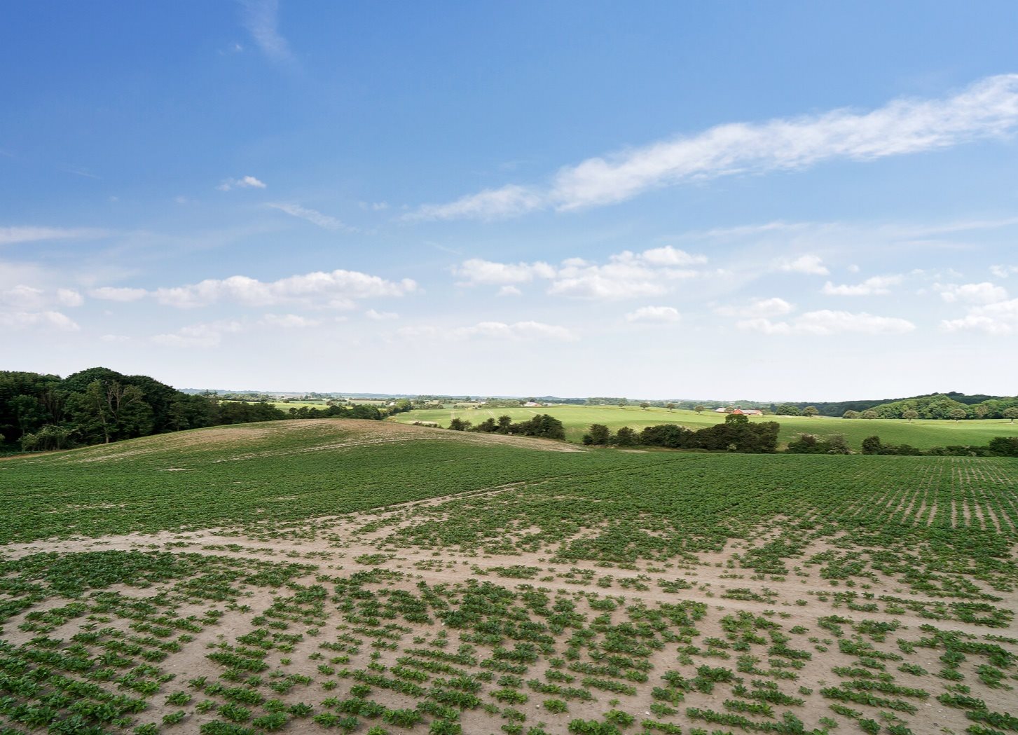 Lunden 1, Everdrup, 4733 Tappernøje