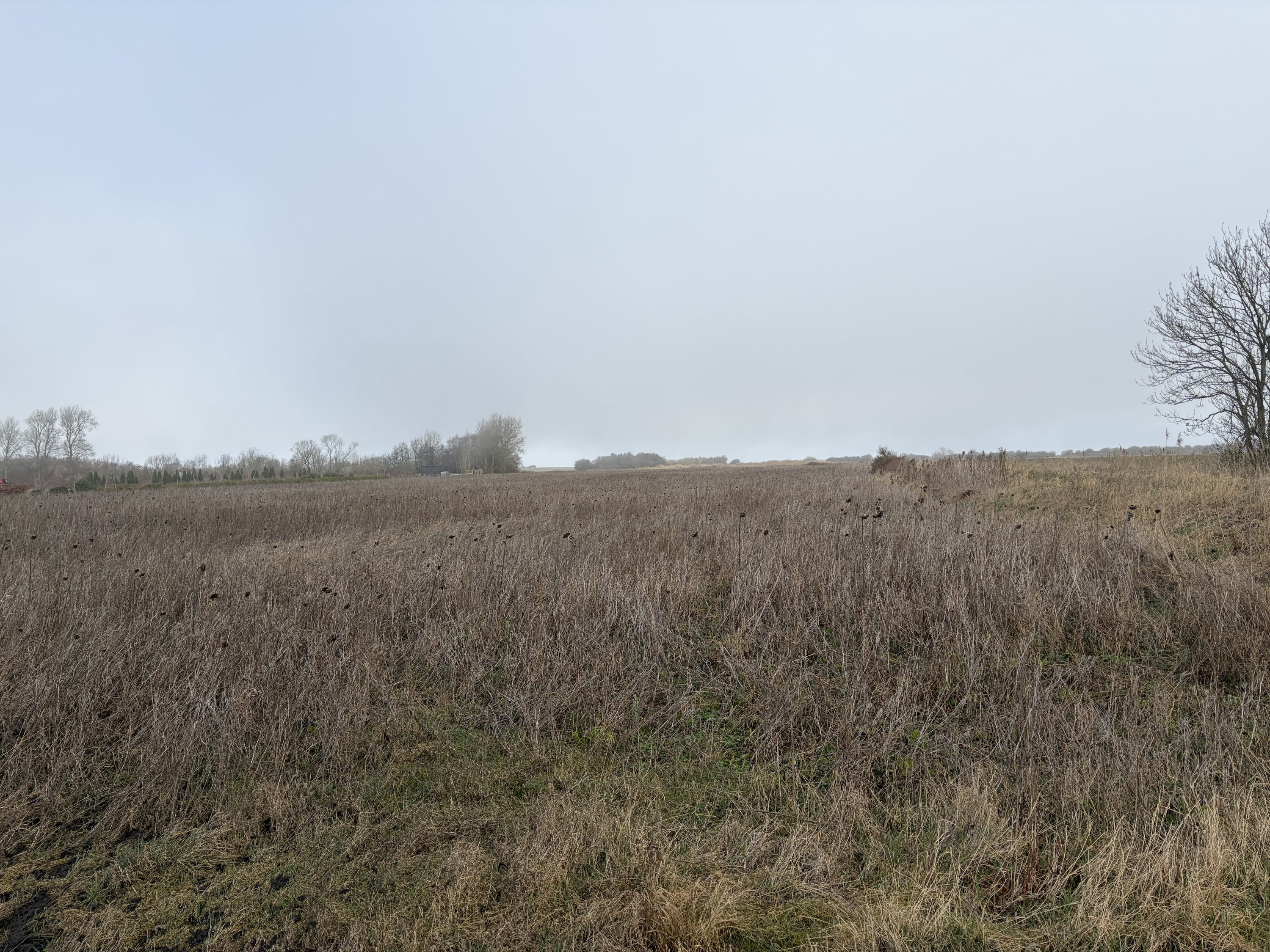 Fremhævet  billede i fuldskærmstilstand. Billede af Del af Huggetvej 94, Kræmmerkrog, 5400 Bogense