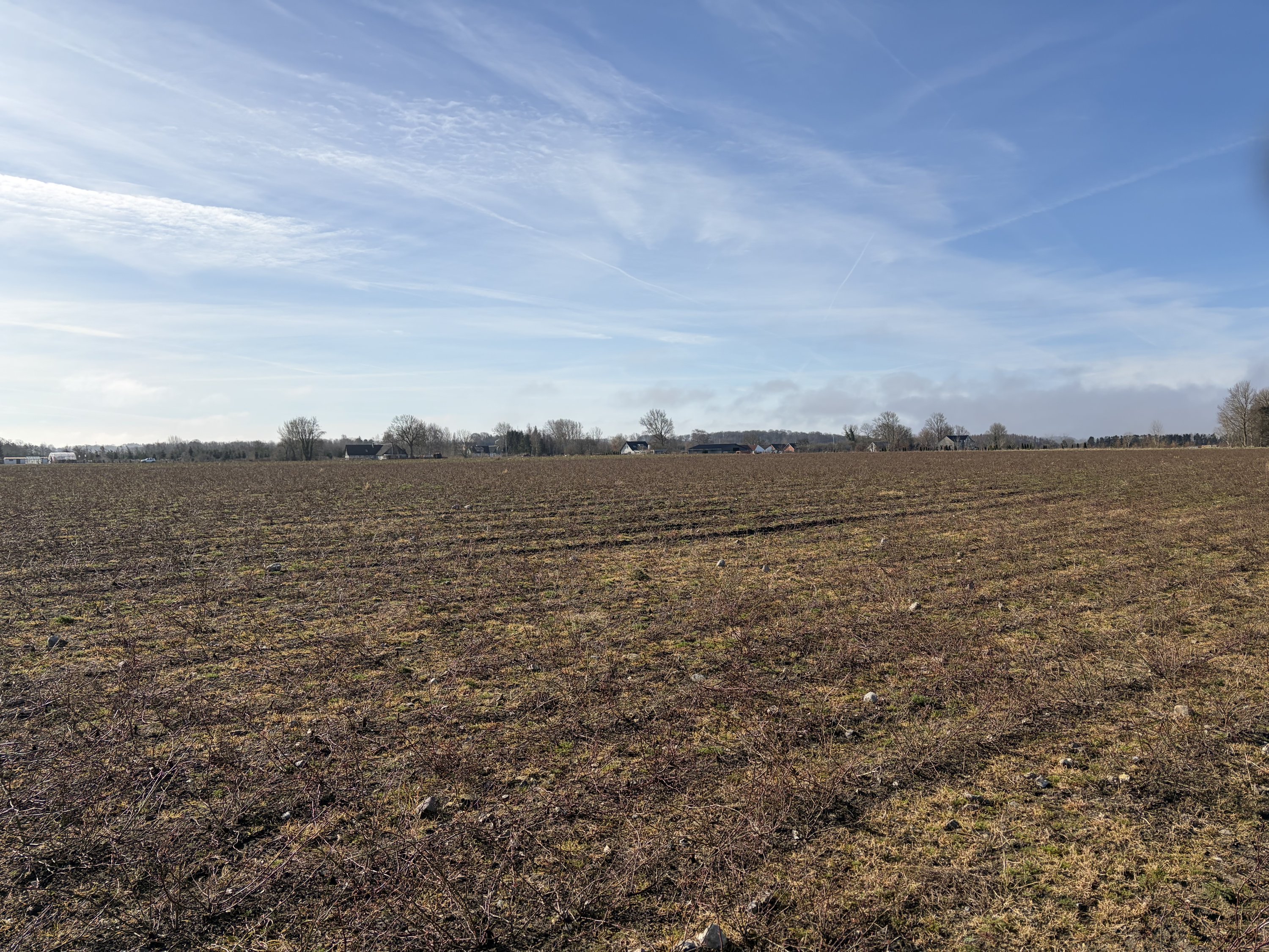 Fremhævet  billede i fuldskærmstilstand. Billede af Del af Huggetvej 94, Kræmmerkrog, 5400 Bogense