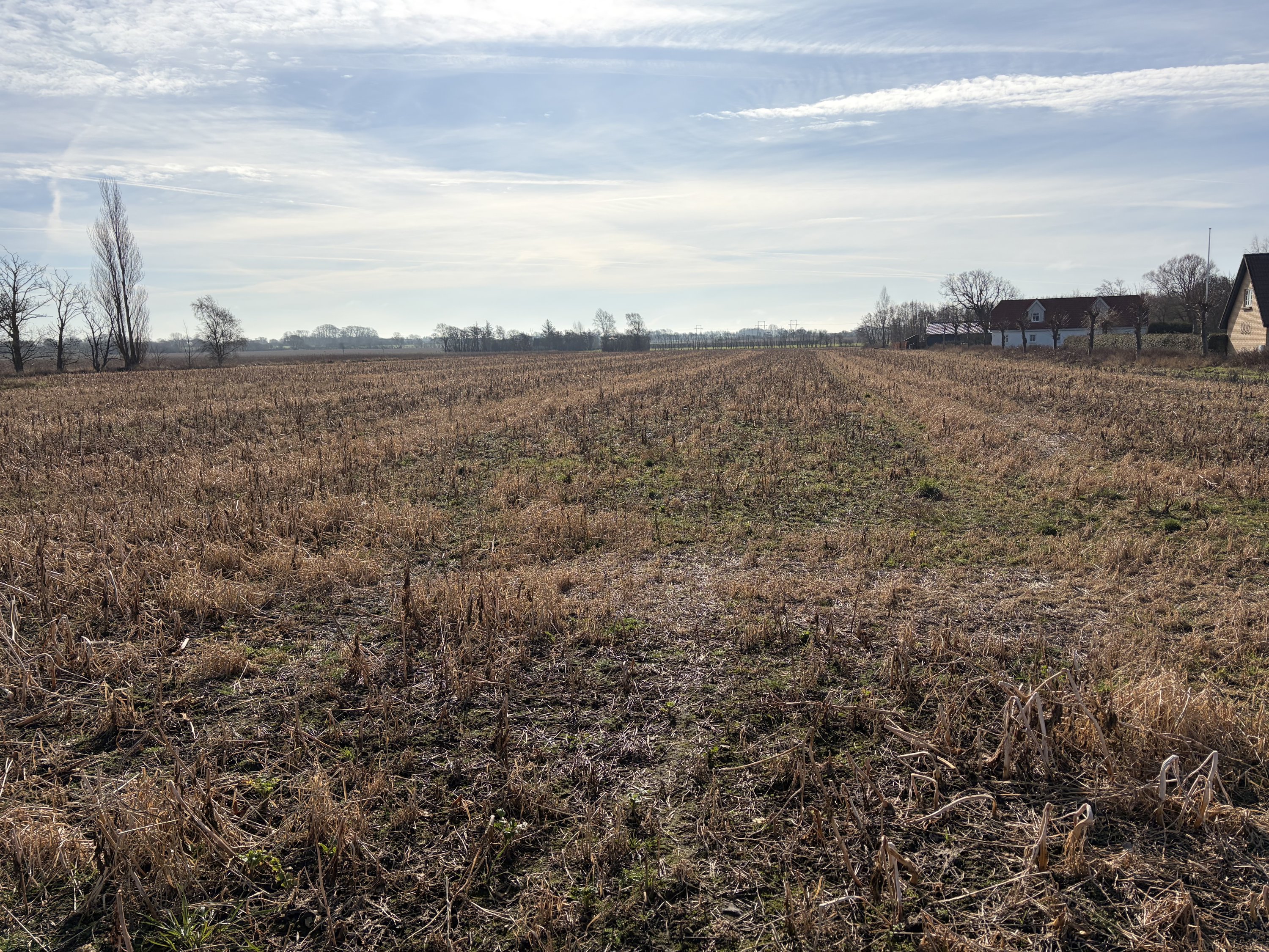 Fremhævet  billede i fuldskærmstilstand. Billede af Del af Huggetvej 94, Kræmmerkrog, 5400 Bogense