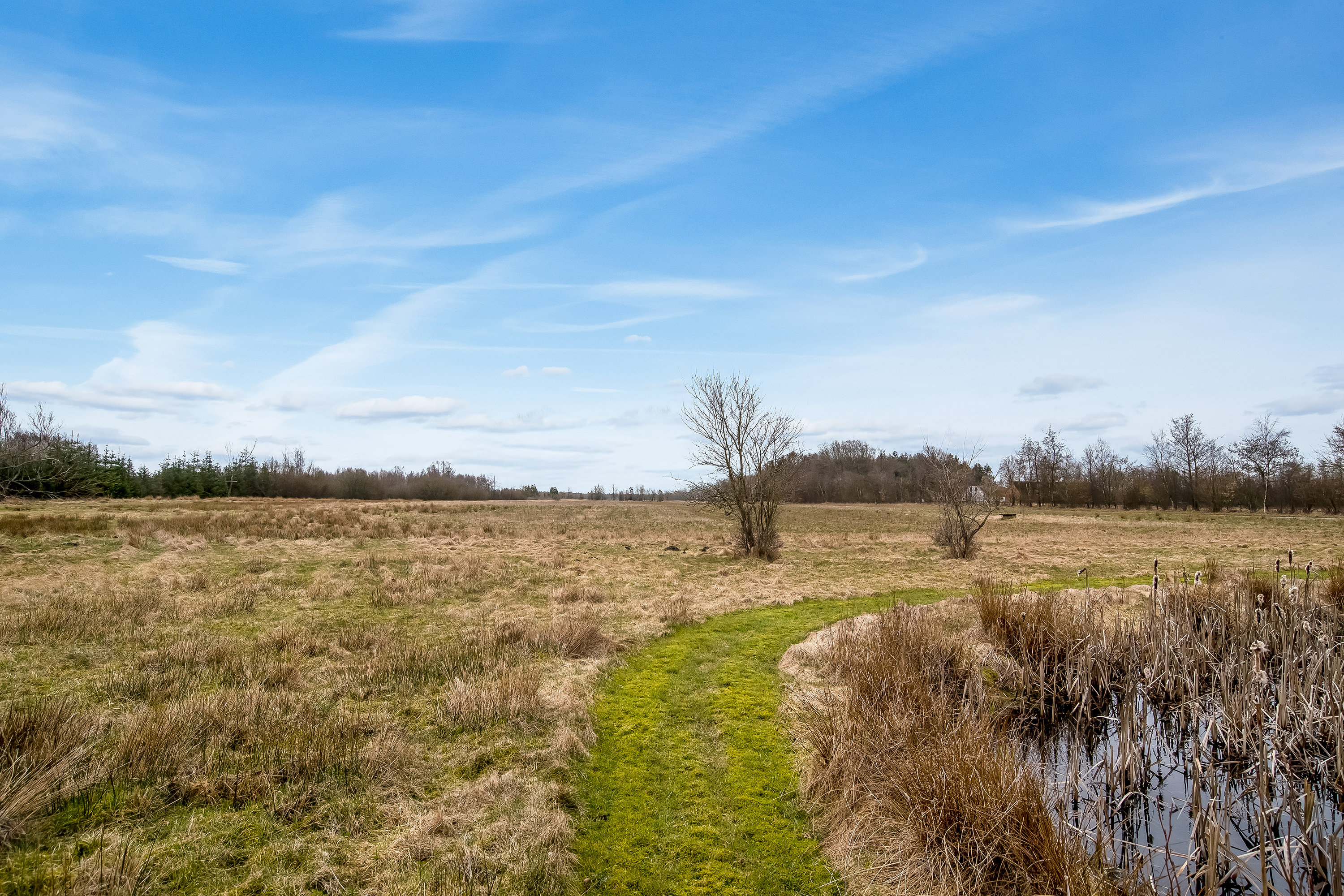 Fremhævet  billede i fuldskærmstilstand. Billede af Vistorpvej 22, Grove, 7540 Haderup