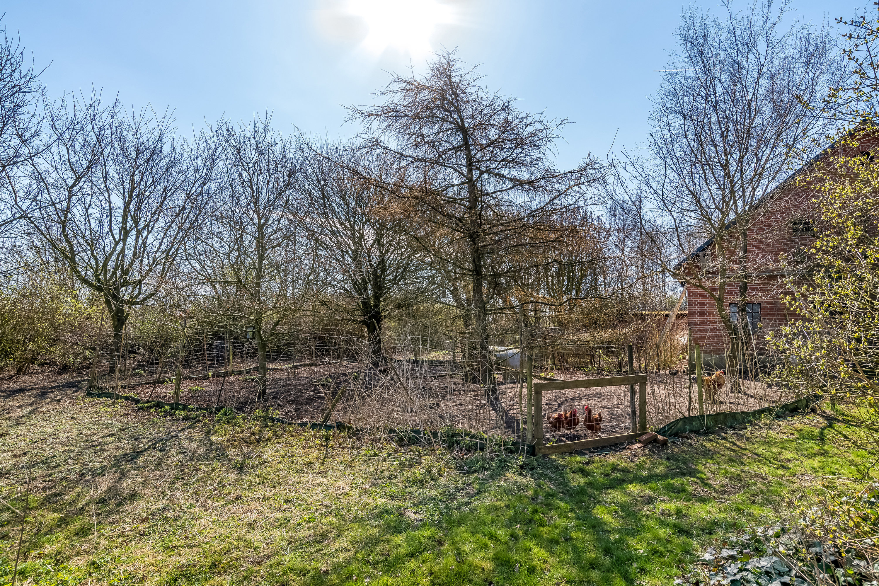 Fremhævet  billede i fuldskærmstilstand. Billede af Svendshedevej 11, Svendshede, 7830 Vinderup